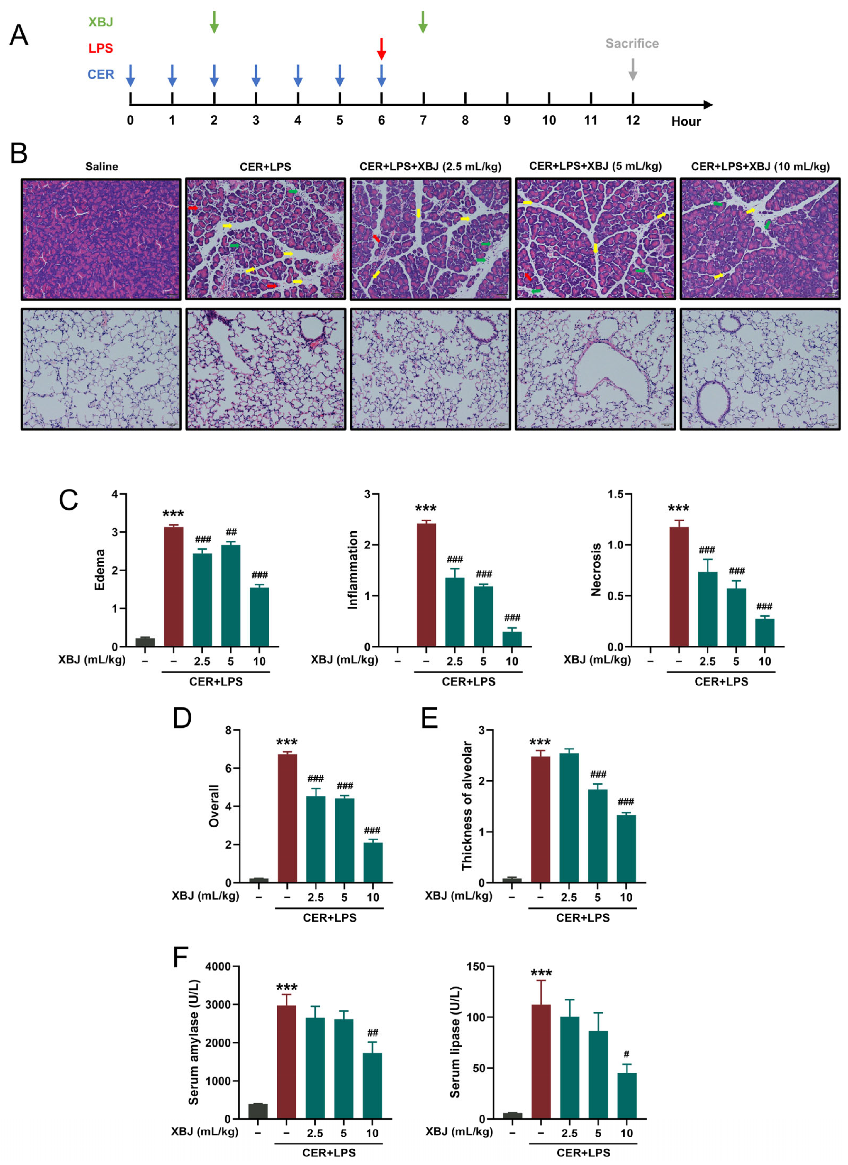 Pharmaceuticals 18 01866 g002 Pharmaceuticals 18 01866 g002