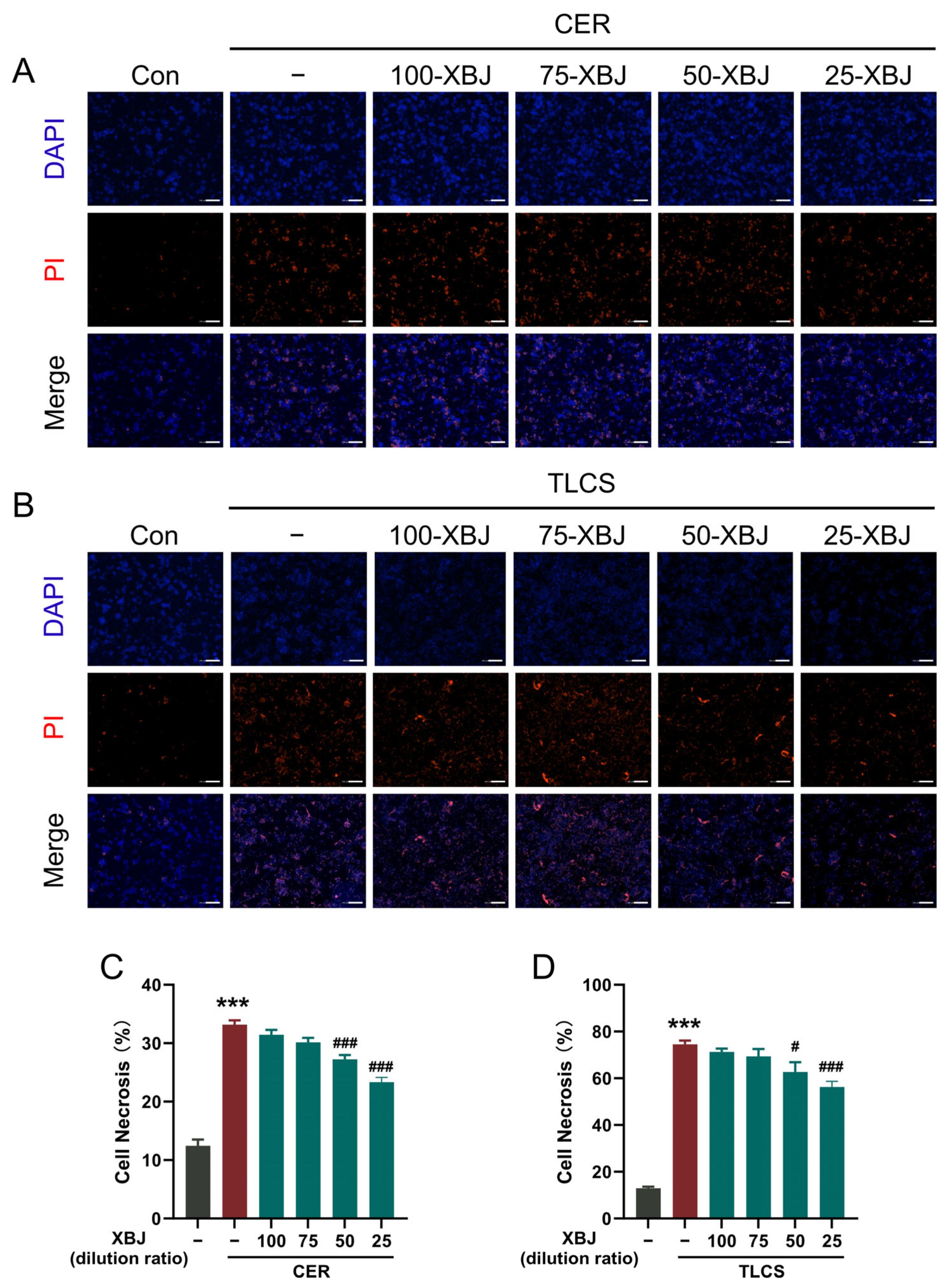 Pharmaceuticals 18 01866 g004 Pharmaceuticals 18 01866 g004