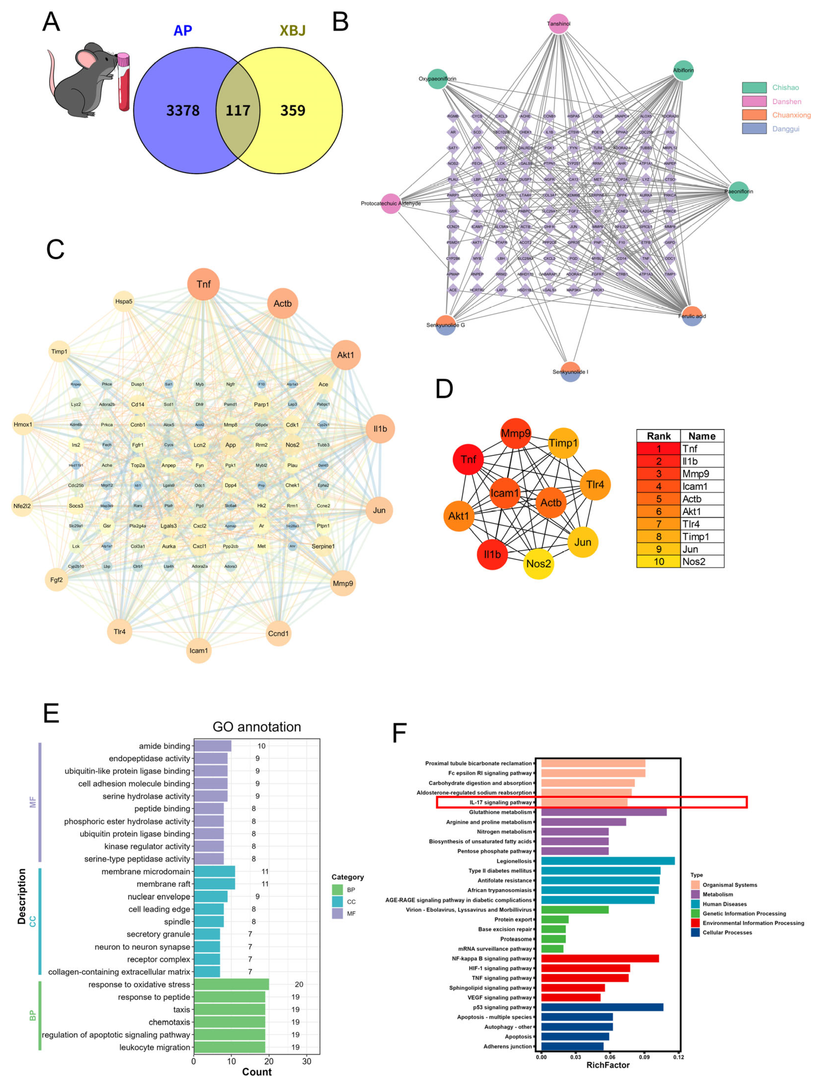 Pharmaceuticals 18 01866 g006 Pharmaceuticals 18 01866 g006