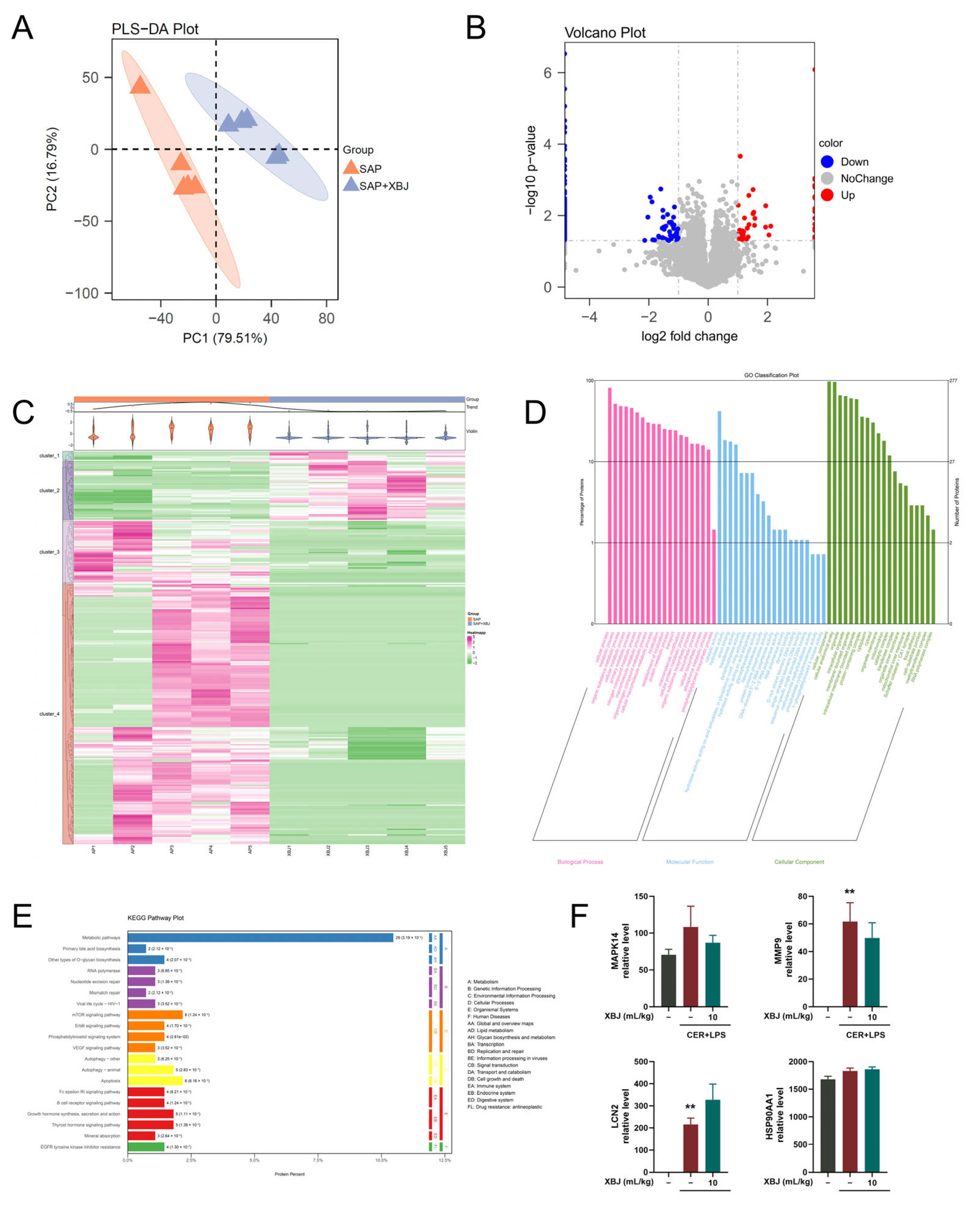 Pharmaceuticals 18 01866 g009 Pharmaceuticals 18 01866 g009