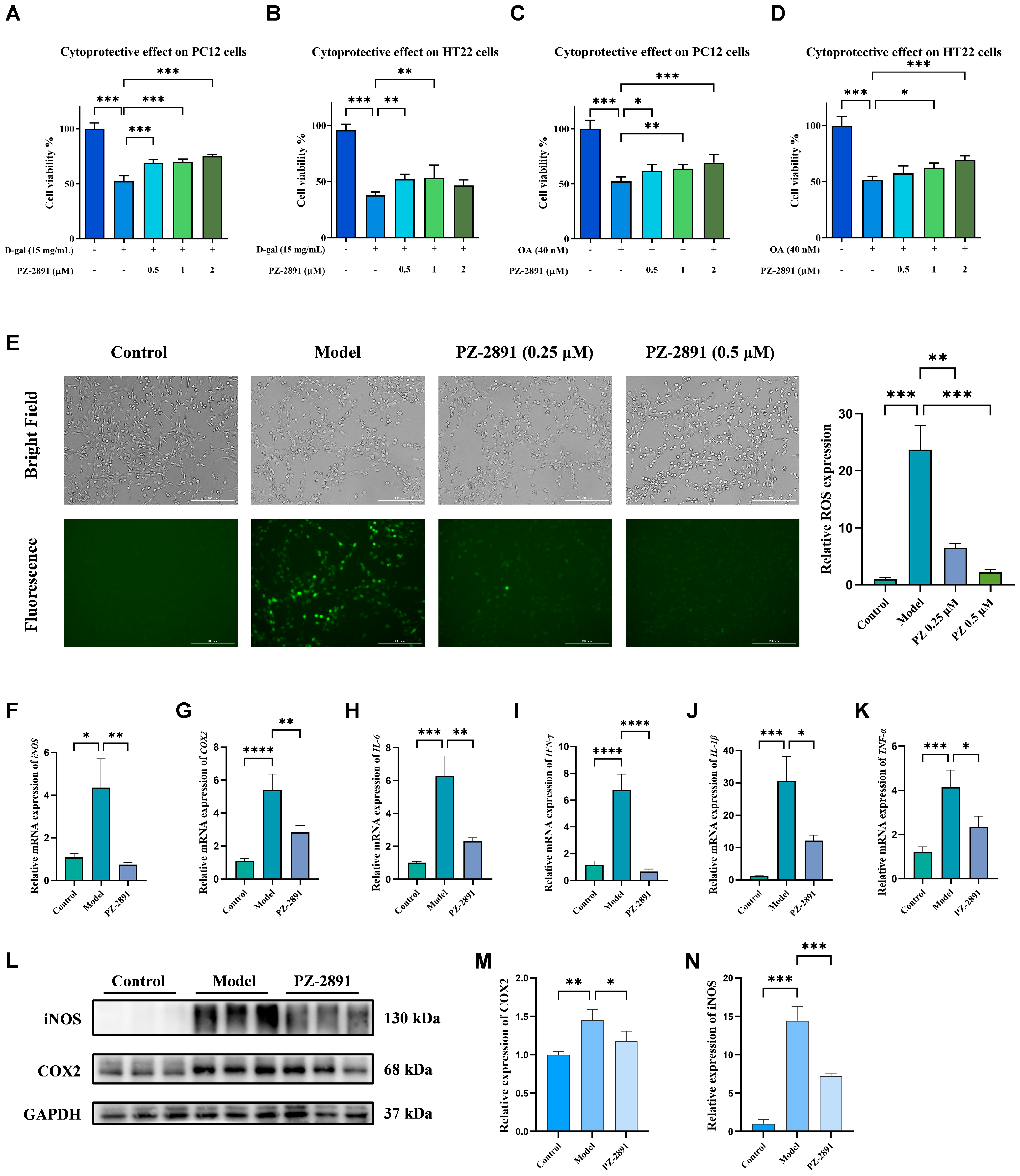 Pharmaceuticals 18 01871 g003 Pharmaceuticals 18 01871 g003