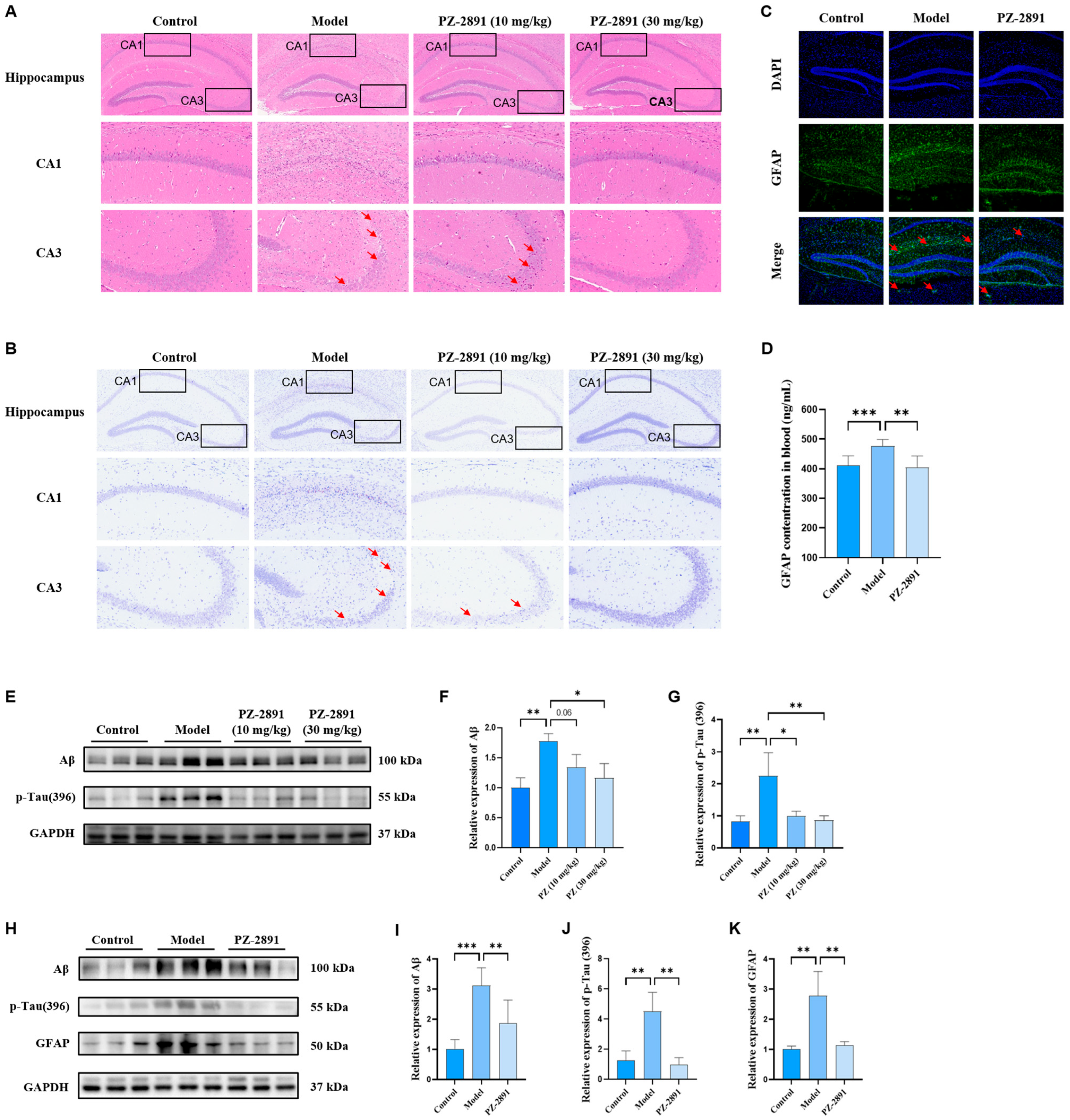 Pharmaceuticals 18 01871 g004 Pharmaceuticals 18 01871 g004