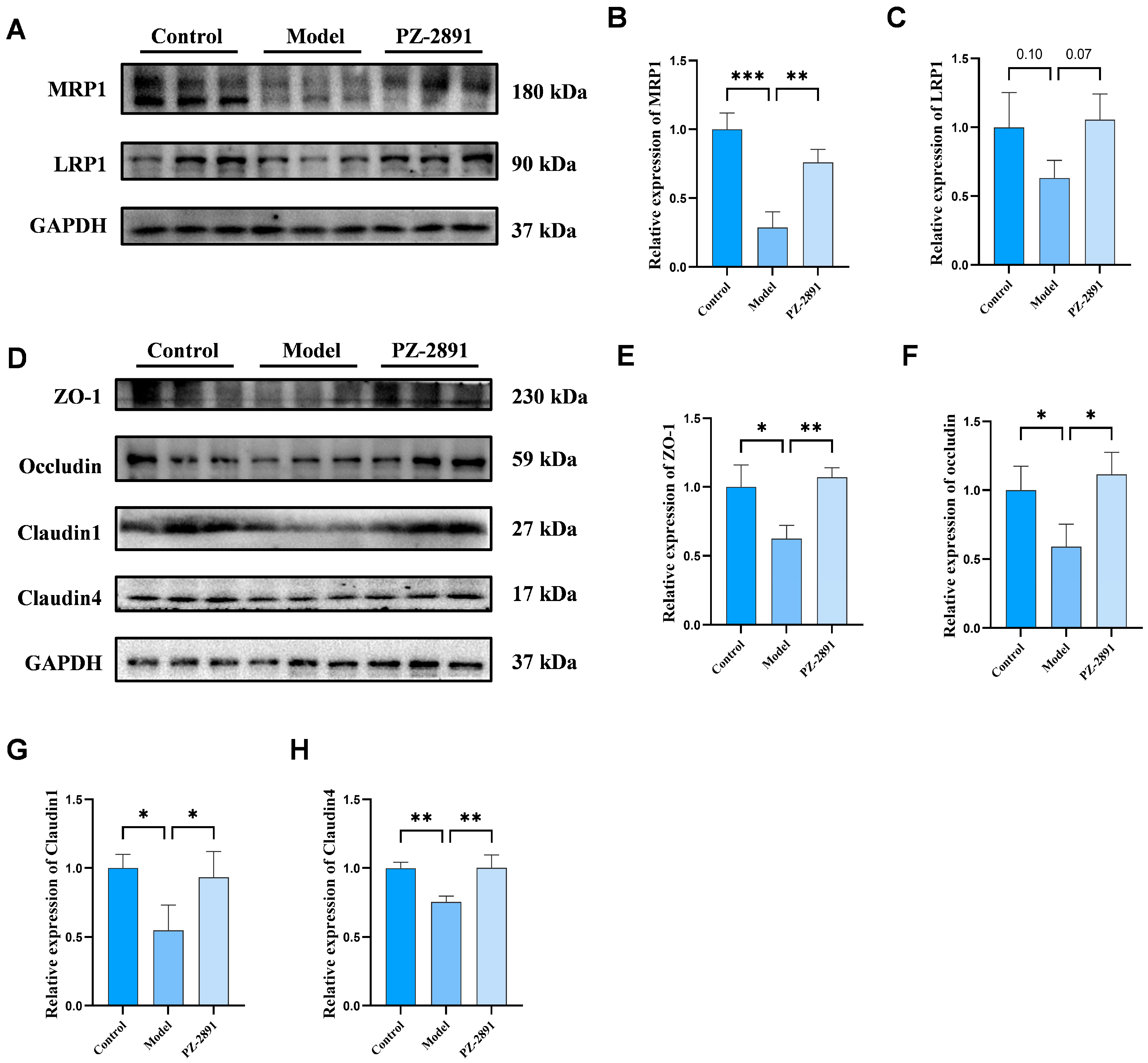 Pharmaceuticals 18 01871 g005 Pharmaceuticals 18 01871 g005