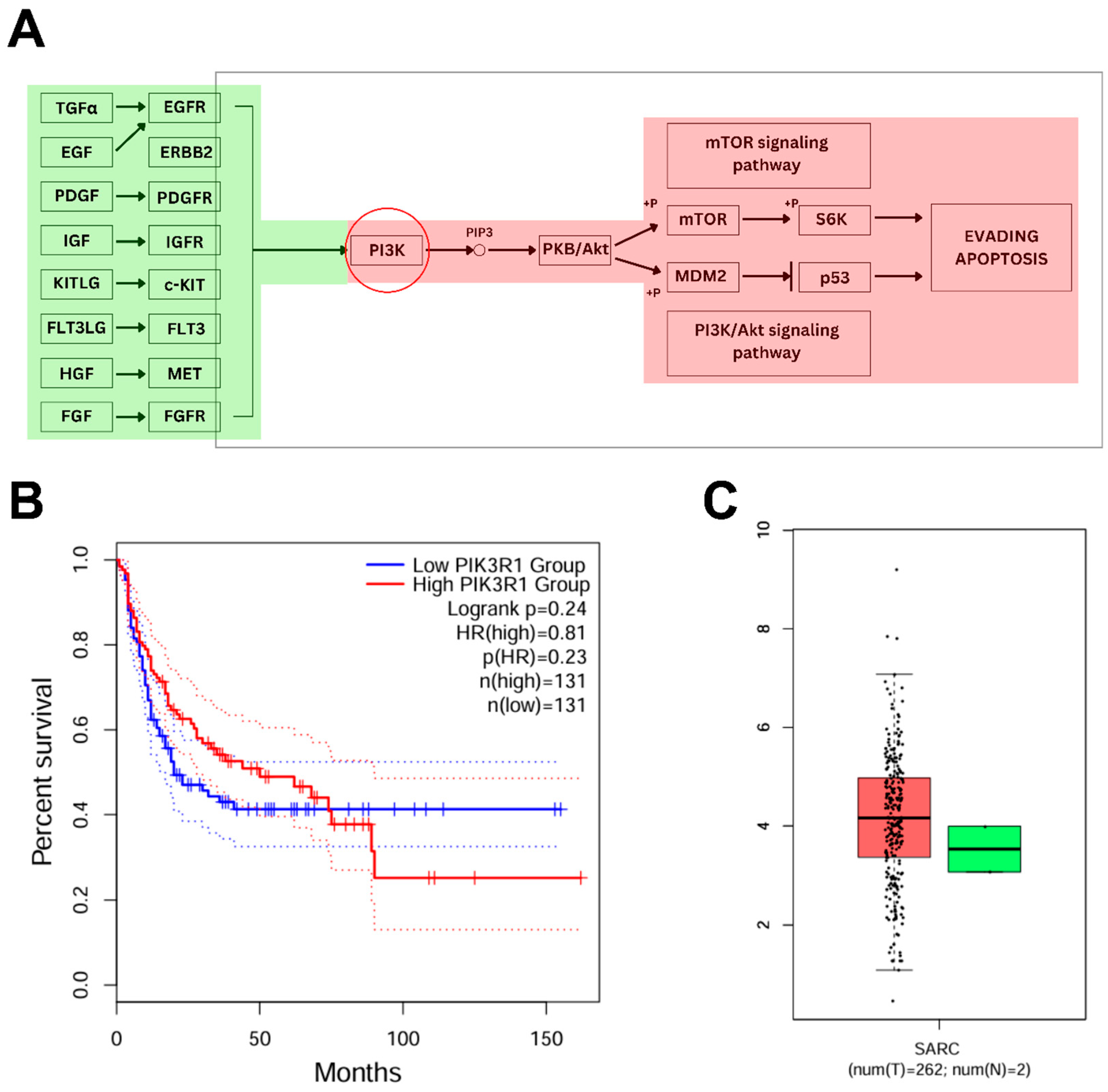 Pharmaceuticals 18 01873 g005 Pharmaceuticals 18 01873 g005