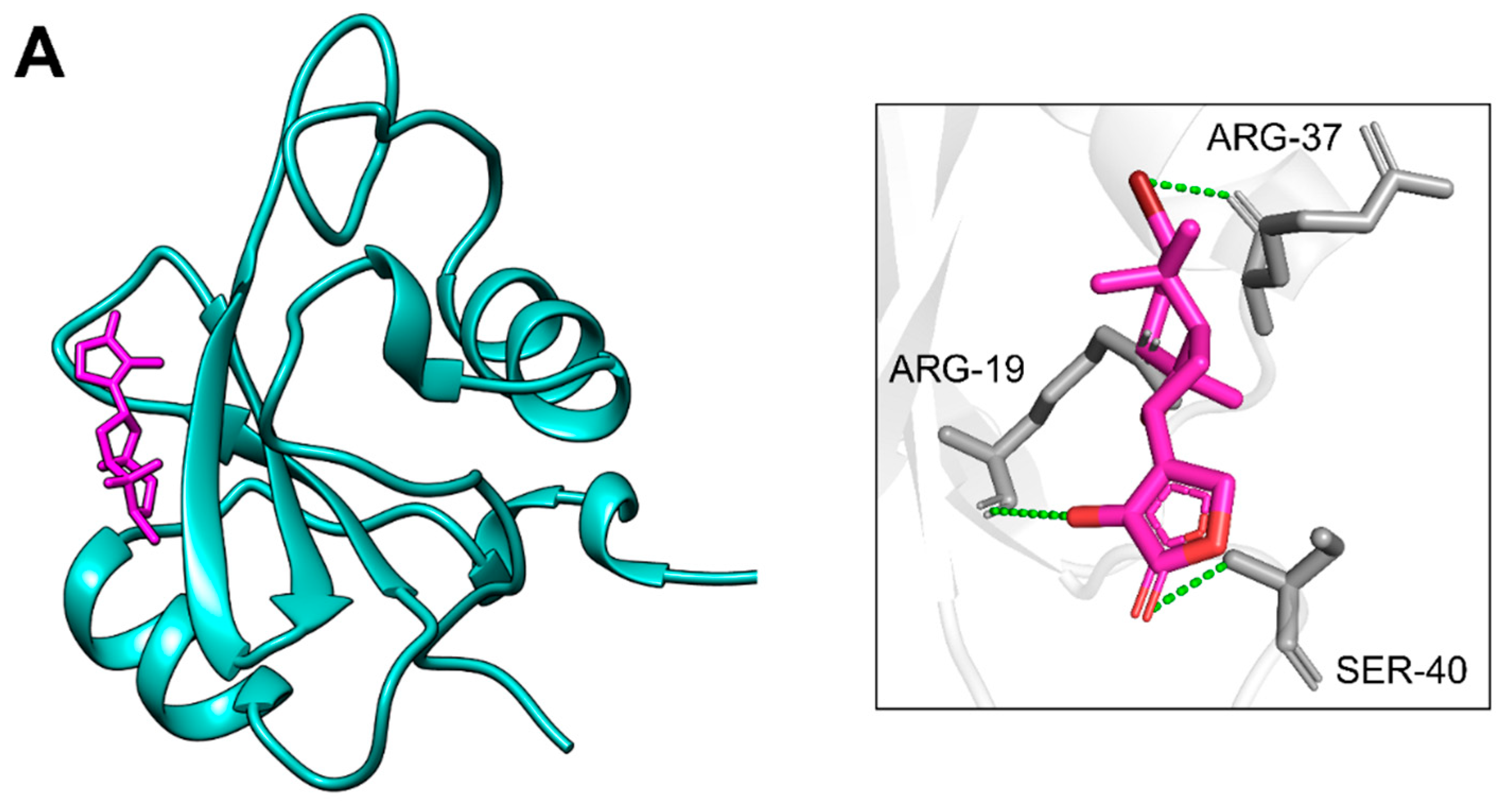 Pharmaceuticals 18 01873 g006a Pharmaceuticals 18 01873 g006a