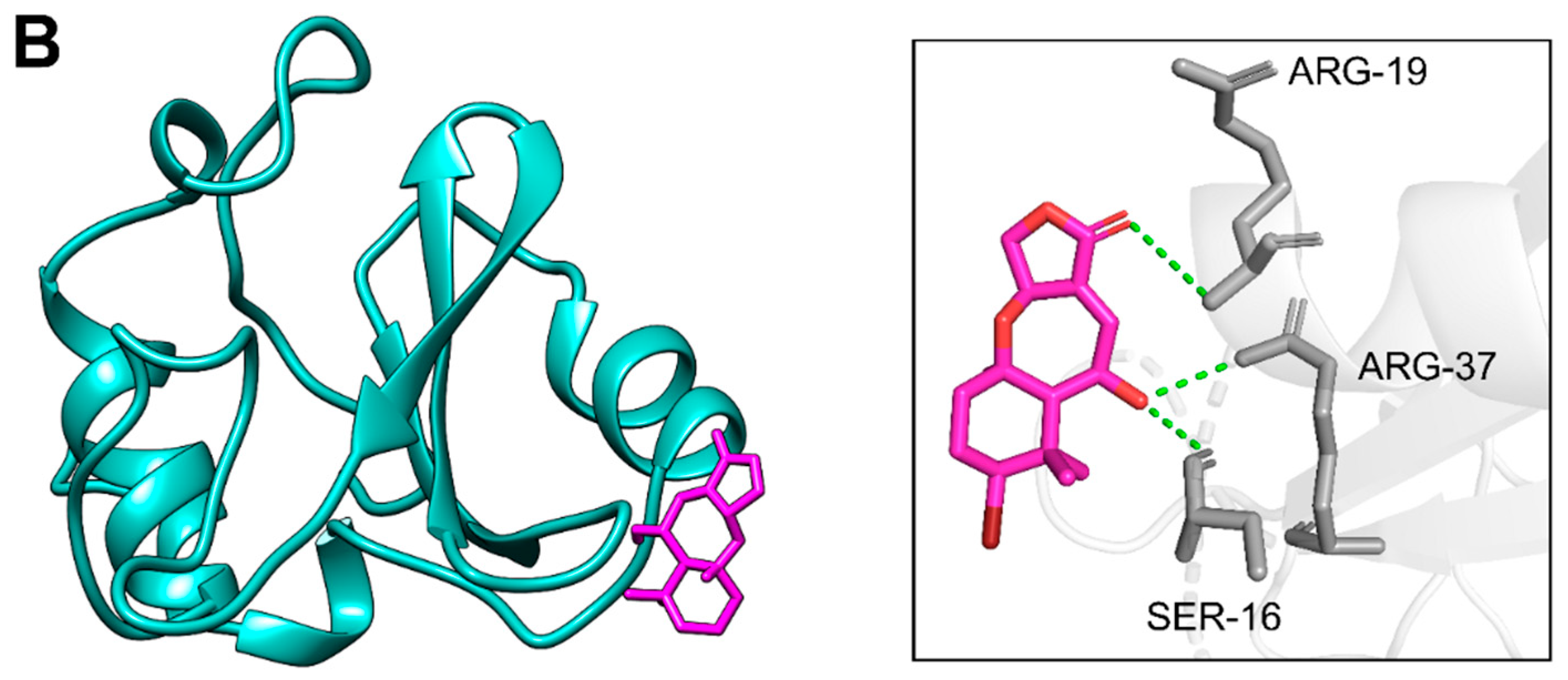 Pharmaceuticals 18 01873 g006b Pharmaceuticals 18 01873 g006b