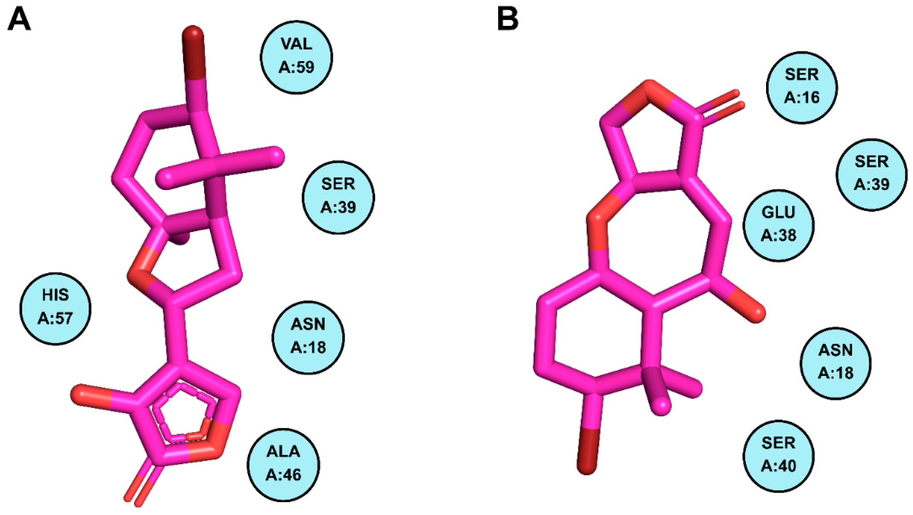 Pharmaceuticals 18 01873 g007 Pharmaceuticals 18 01873 g007