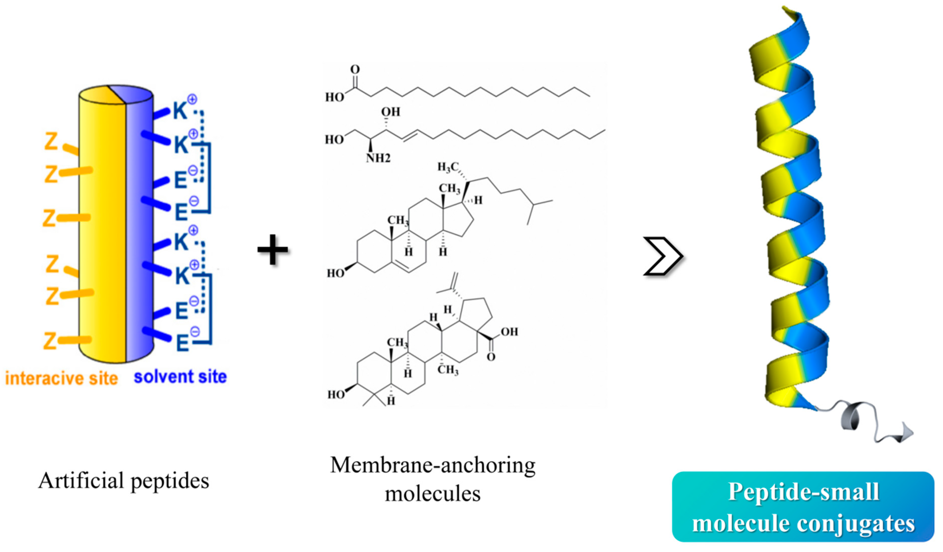 Pharmaceuticals 18 01881 g002