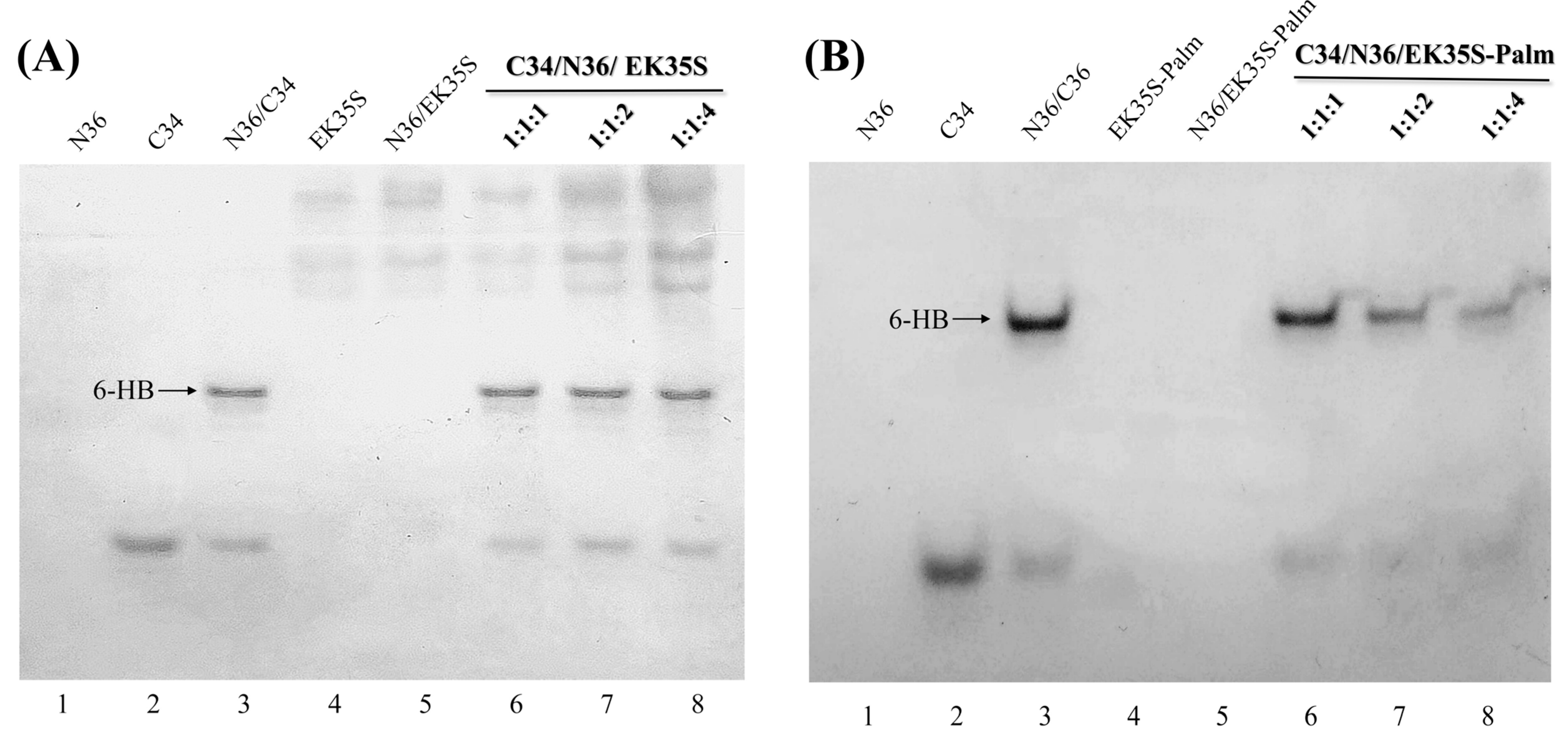 Pharmaceuticals 18 01881 g005