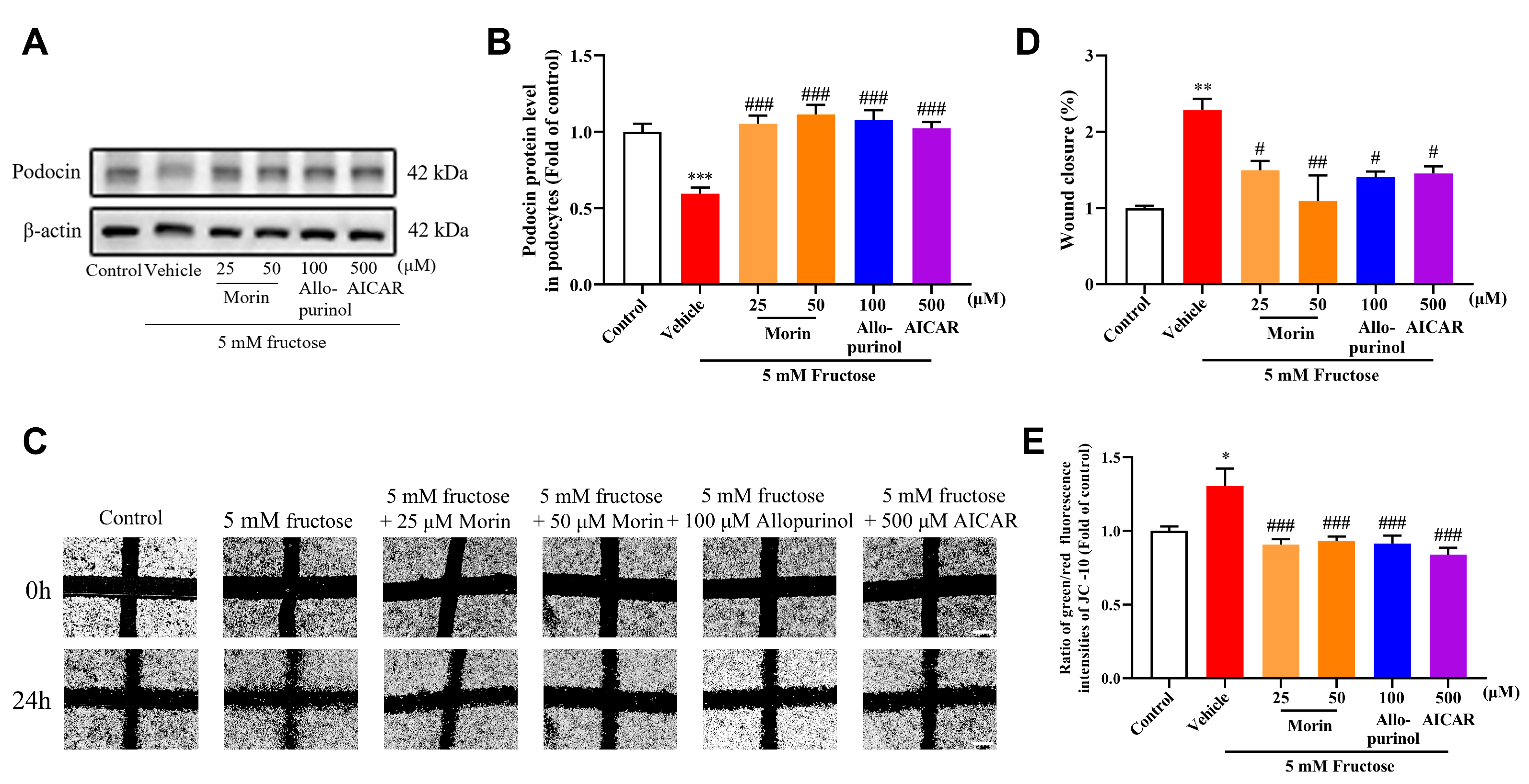 Pharmaceuticals 18 01883 g001 Pharmaceuticals 18 01883 g001