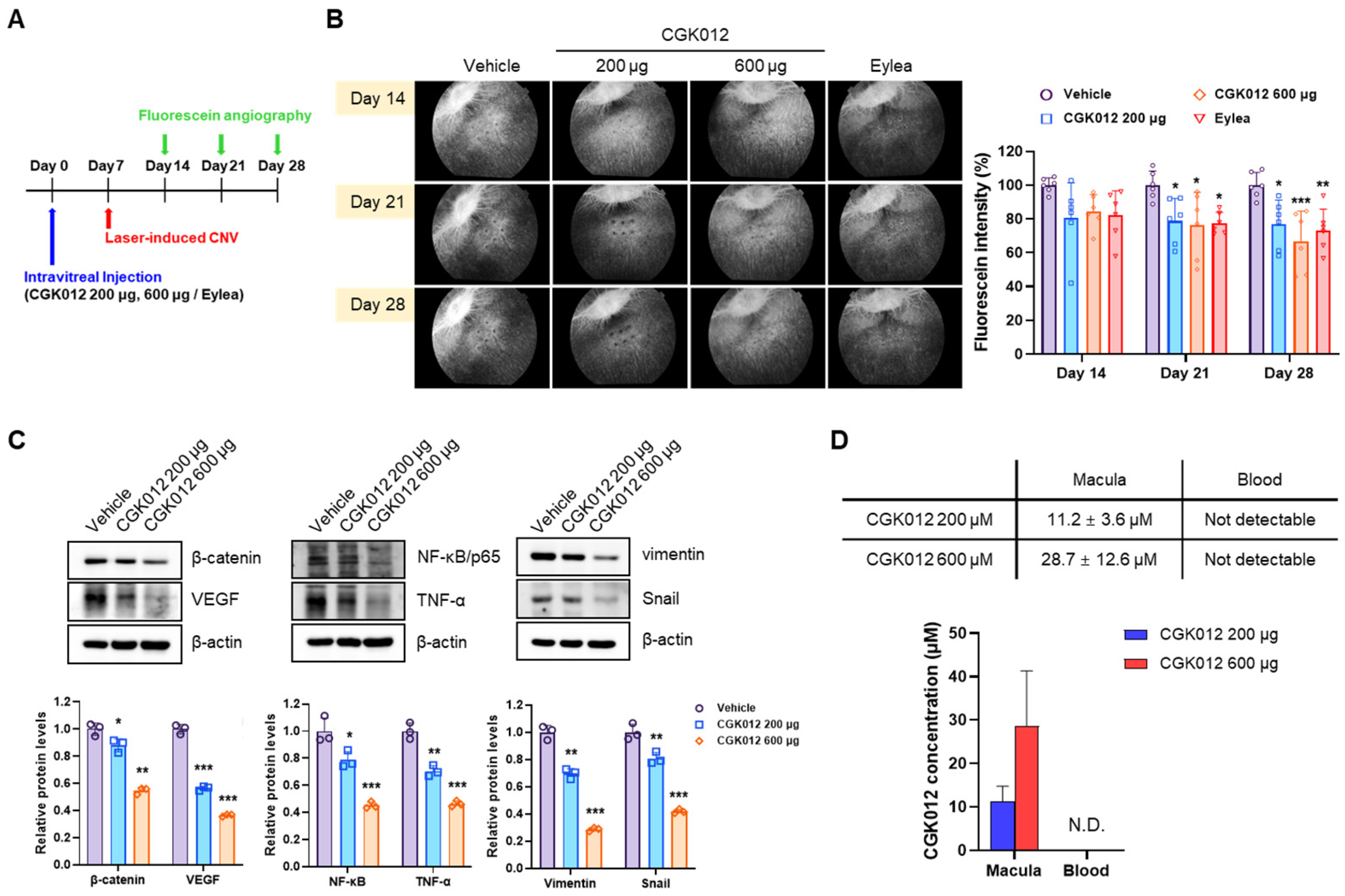 Pharmaceuticals 18 01884 g005 Pharmaceuticals 18 01884 g005