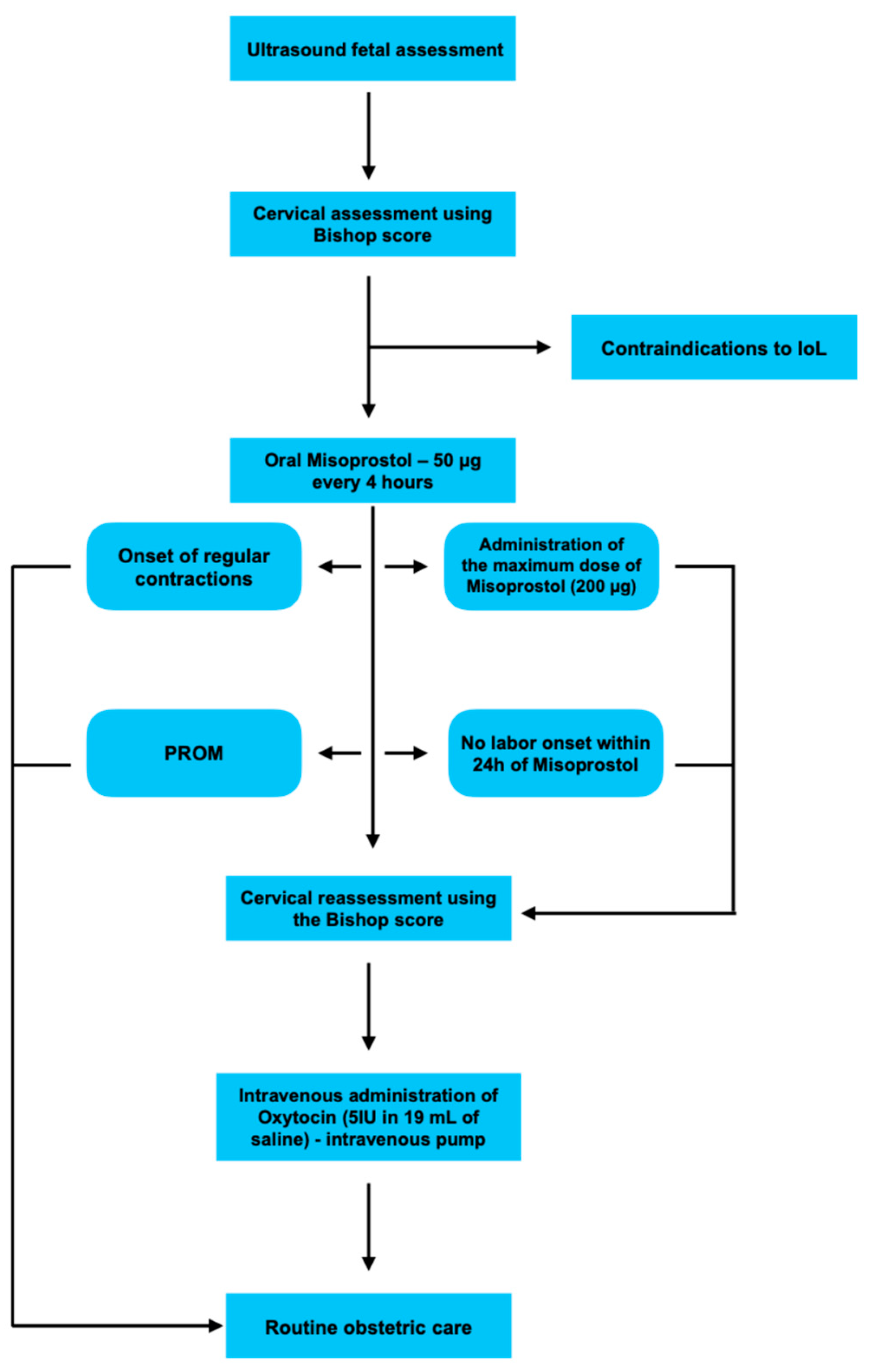 Pharmaceuticals 18 01888 g001 Pharmaceuticals 18 01888 g001