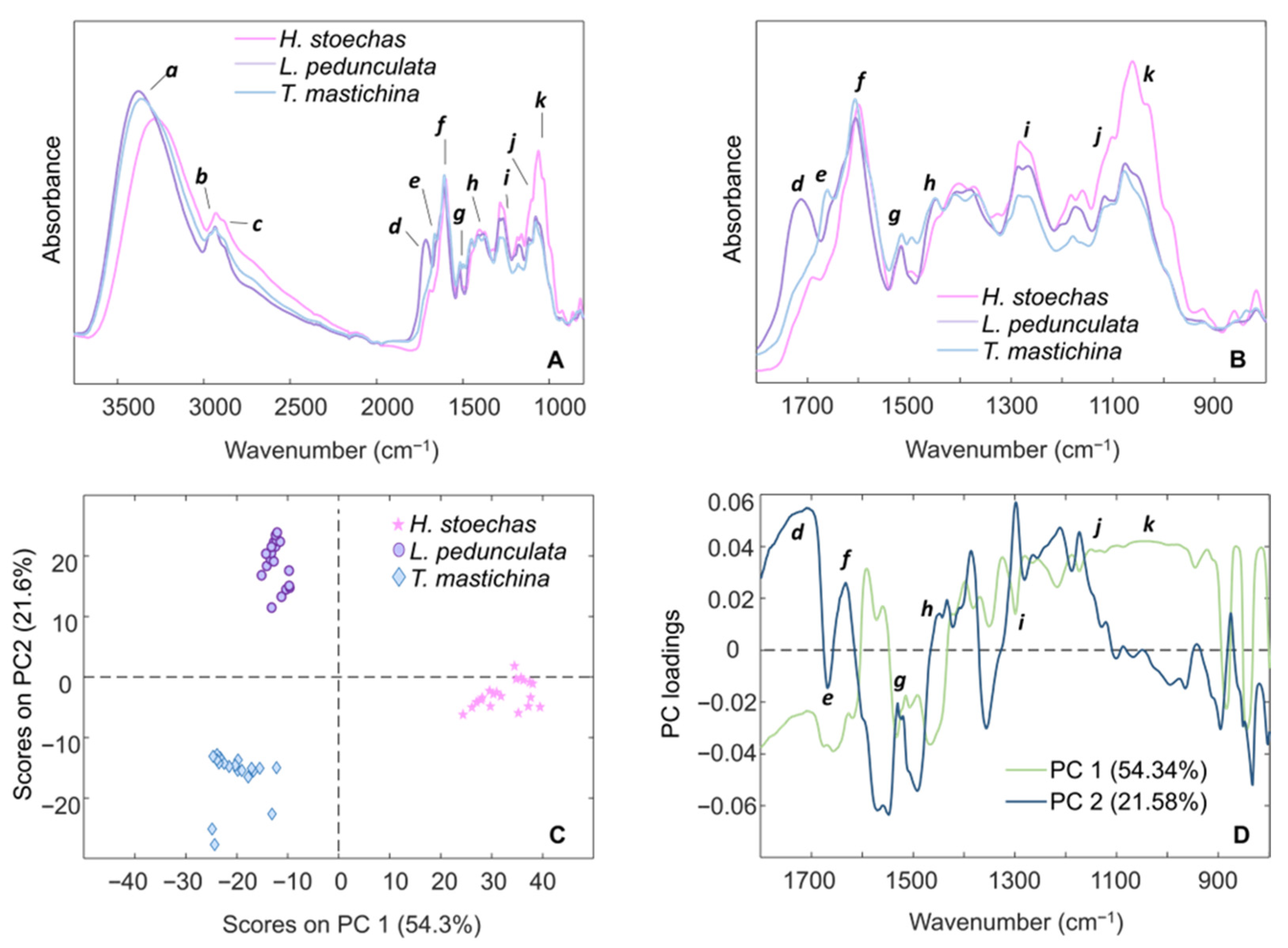 Pharmaceuticals 18 01889 g001 Pharmaceuticals 18 01889 g001