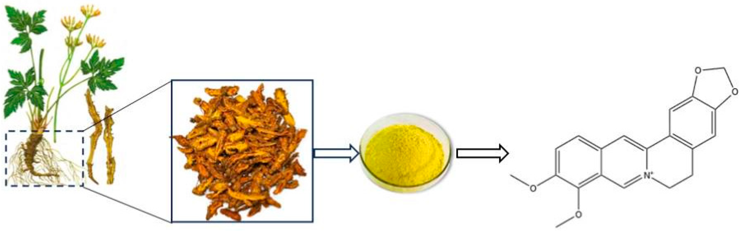 Pharmaceuticals 18 01890 g001