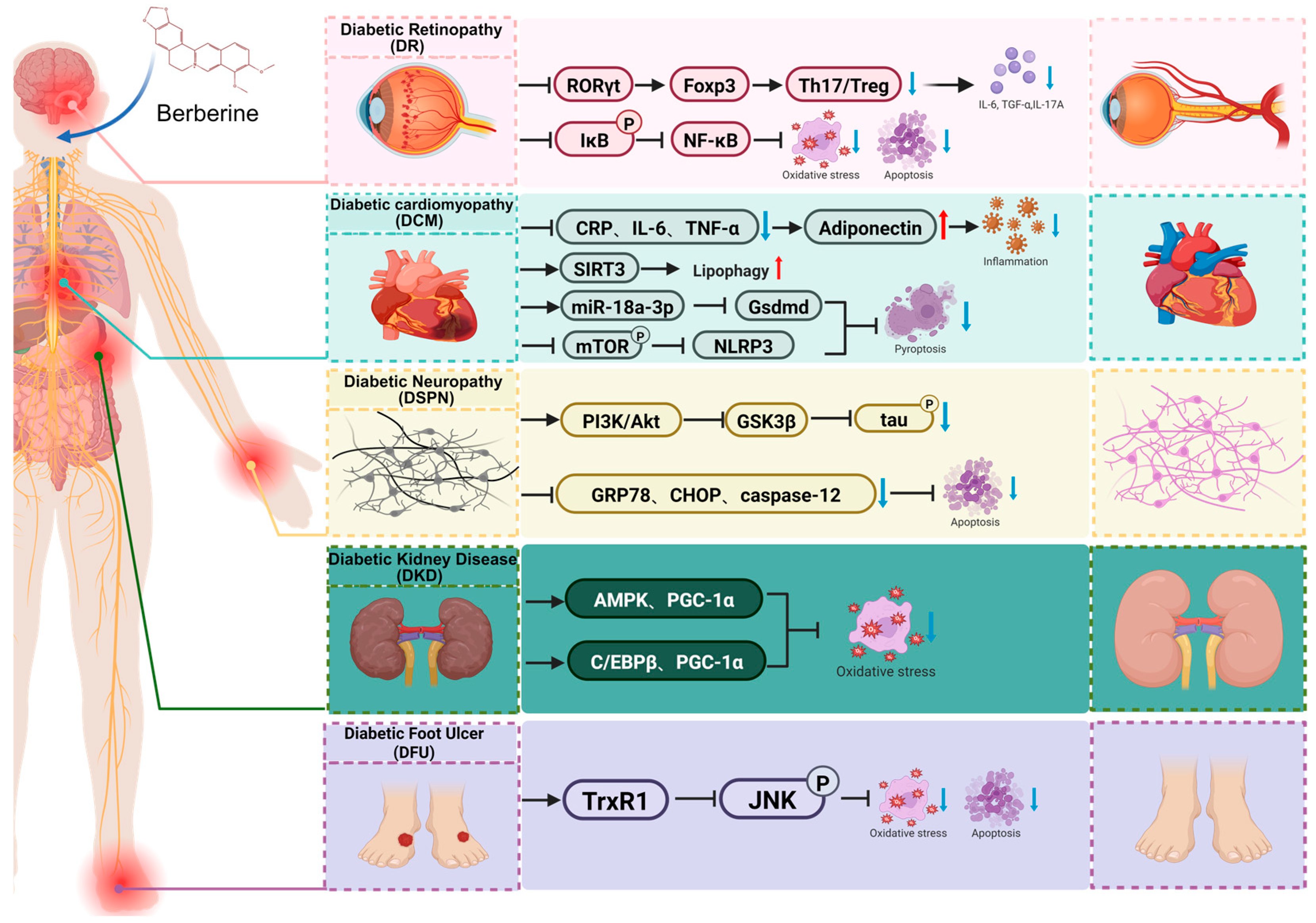 Pharmaceuticals 18 01890 g004