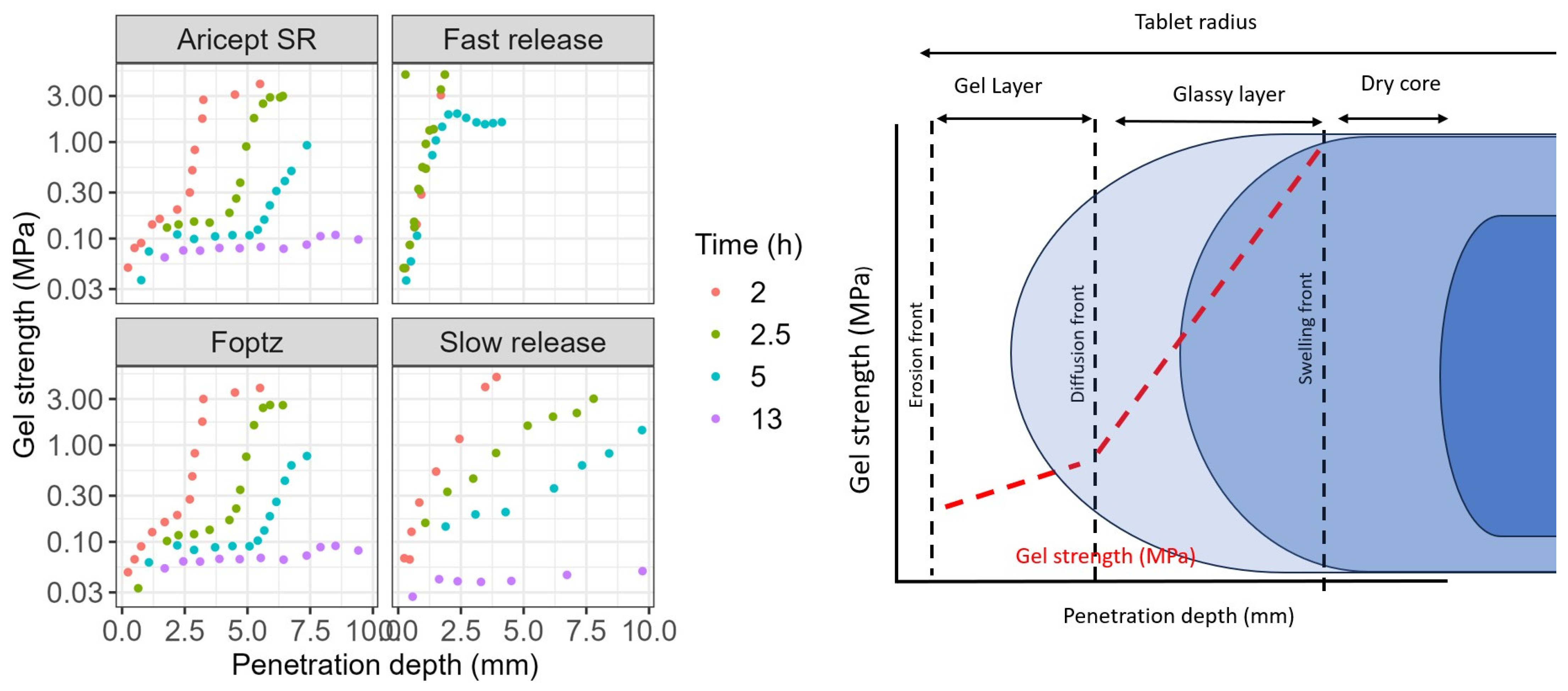 Pharmaceuticals 18 01894 g003