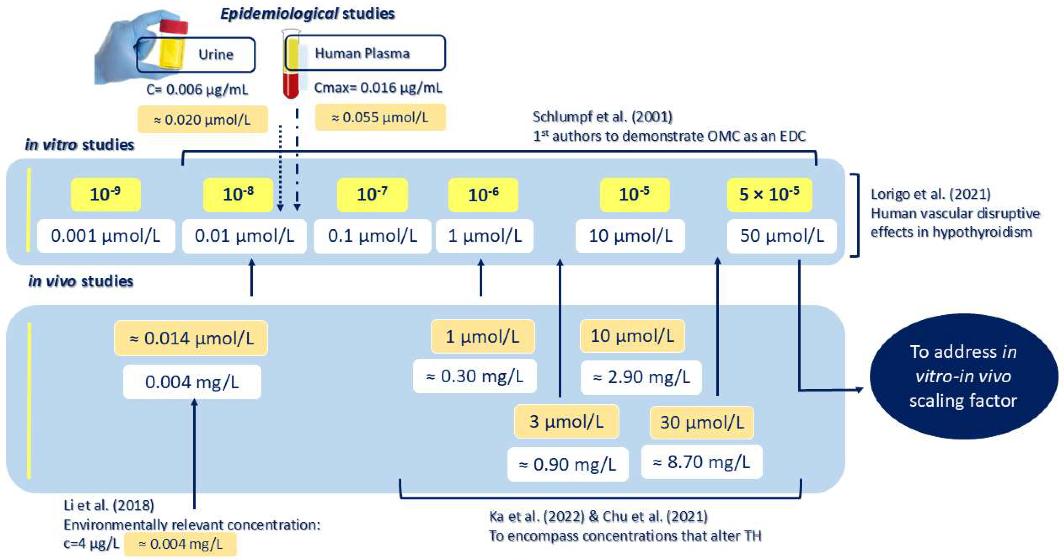 Pharmaceuticals 18 01897 g007 Pharmaceuticals 18 01897 g007