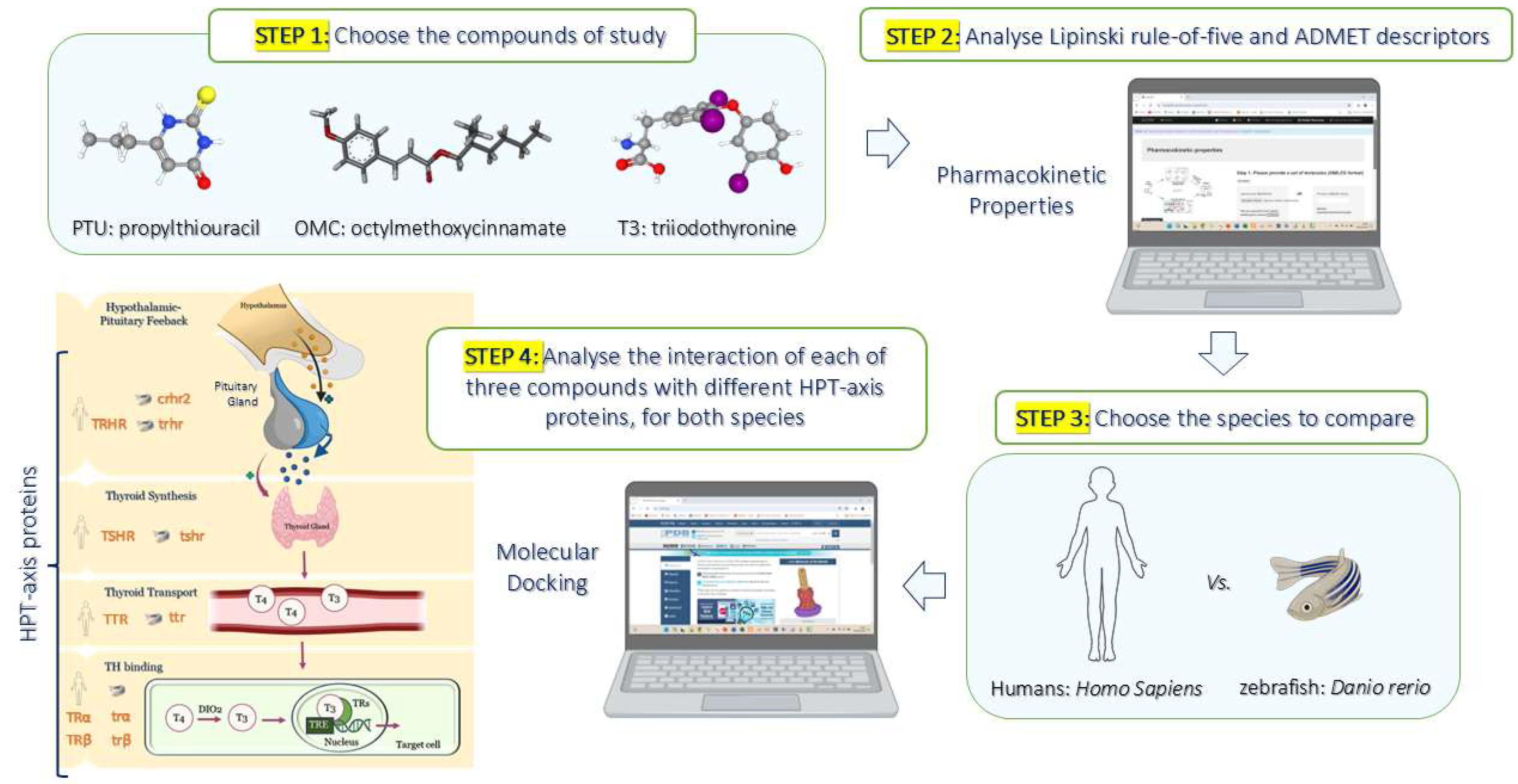 Pharmaceuticals 18 01897 g008 Pharmaceuticals 18 01897 g008