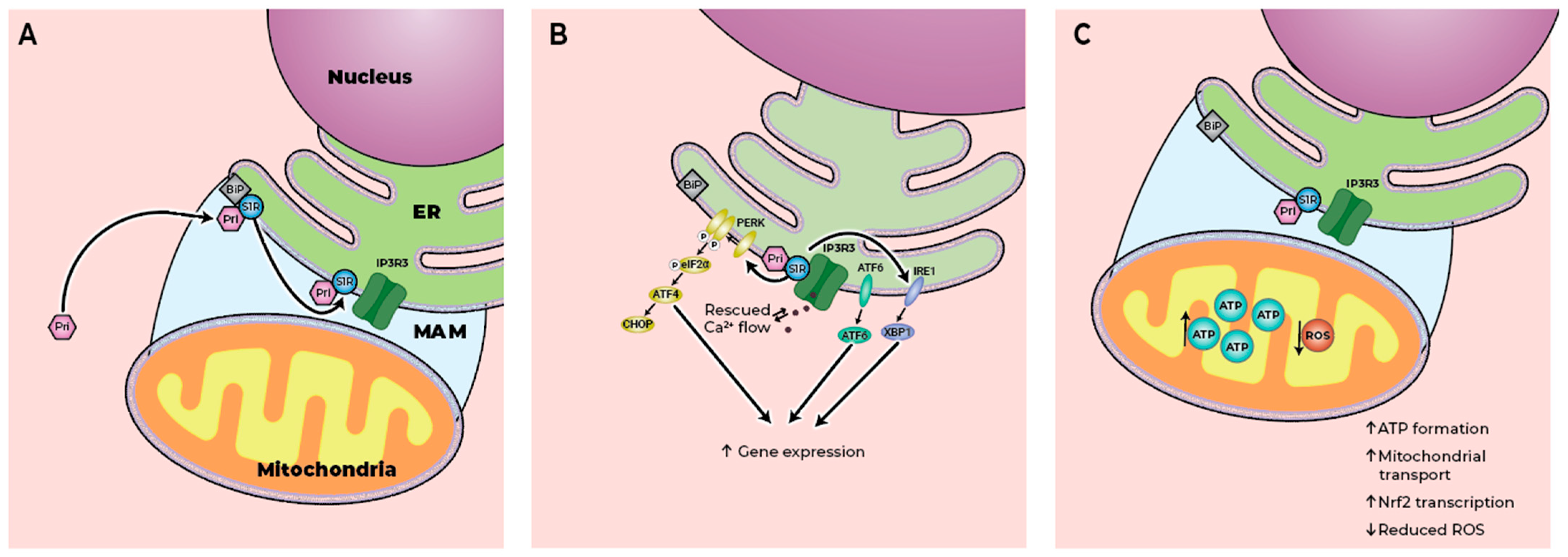 Pharmaceuticals 18 01900 g002