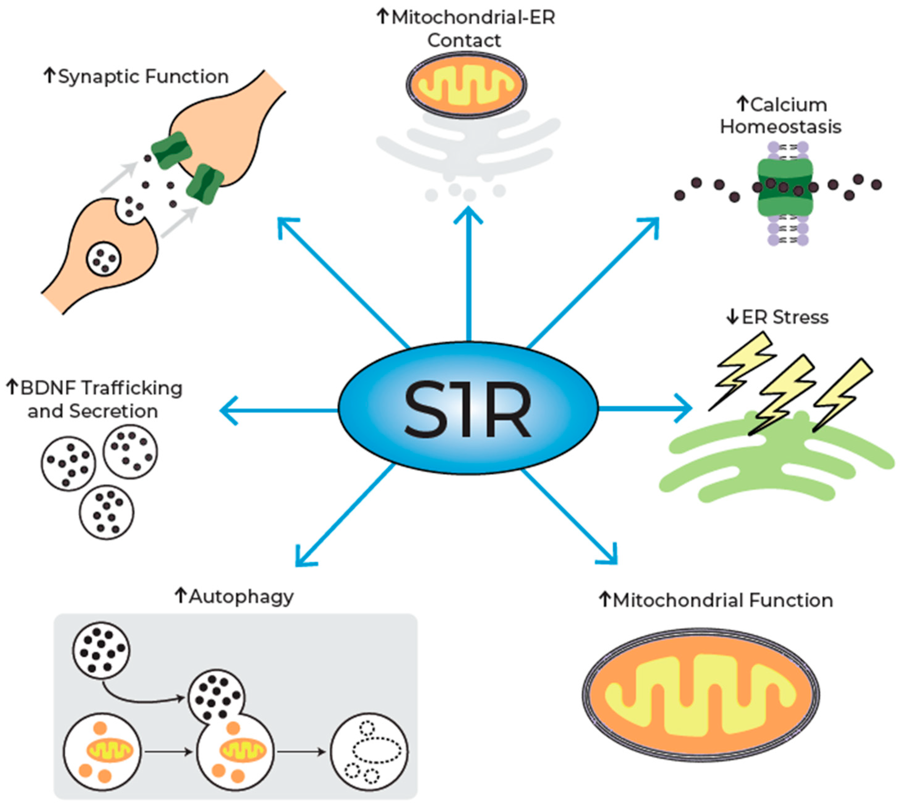 Pharmaceuticals 18 01900 g004