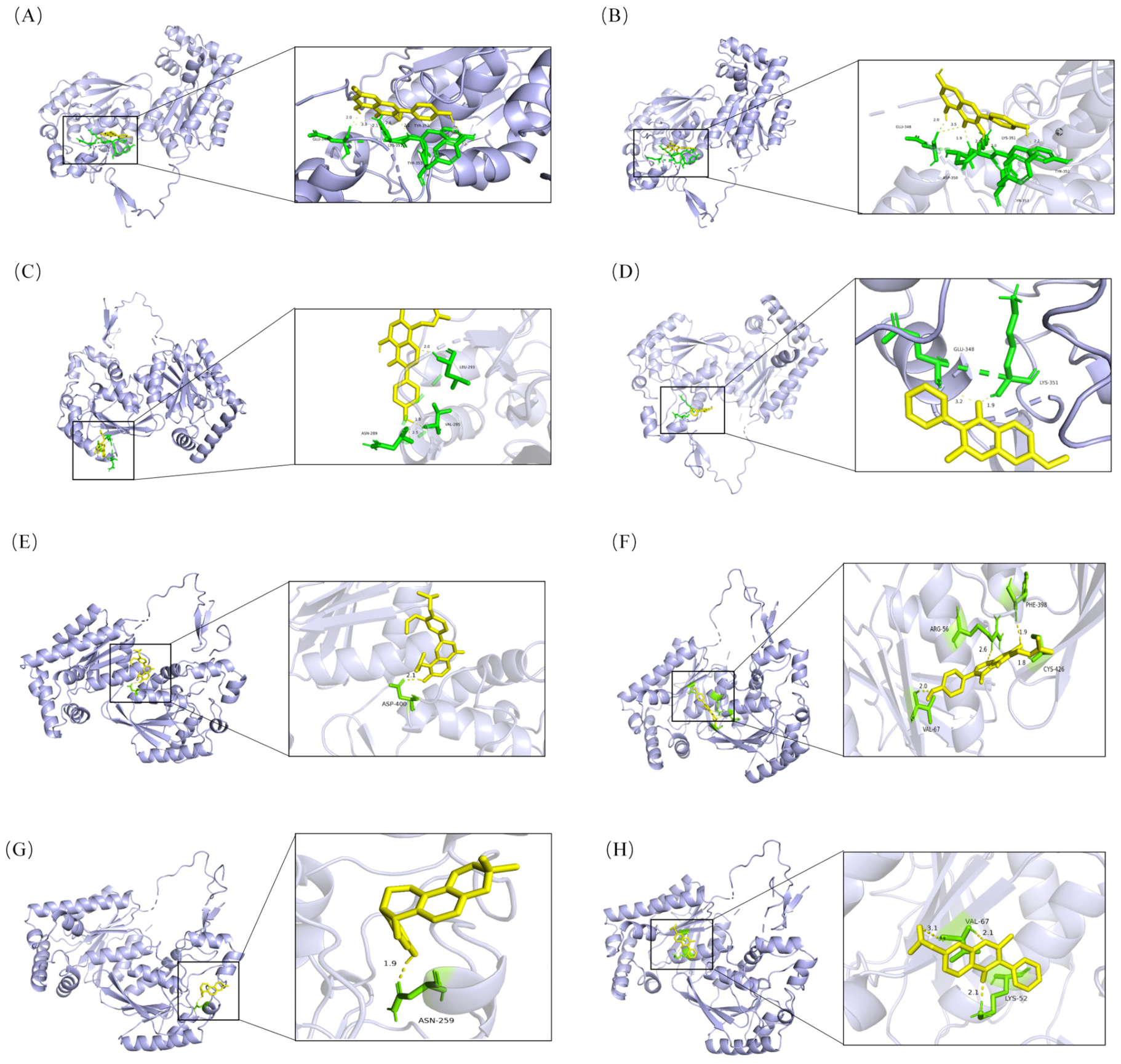 Pharmaceuticals 18 01902 g003