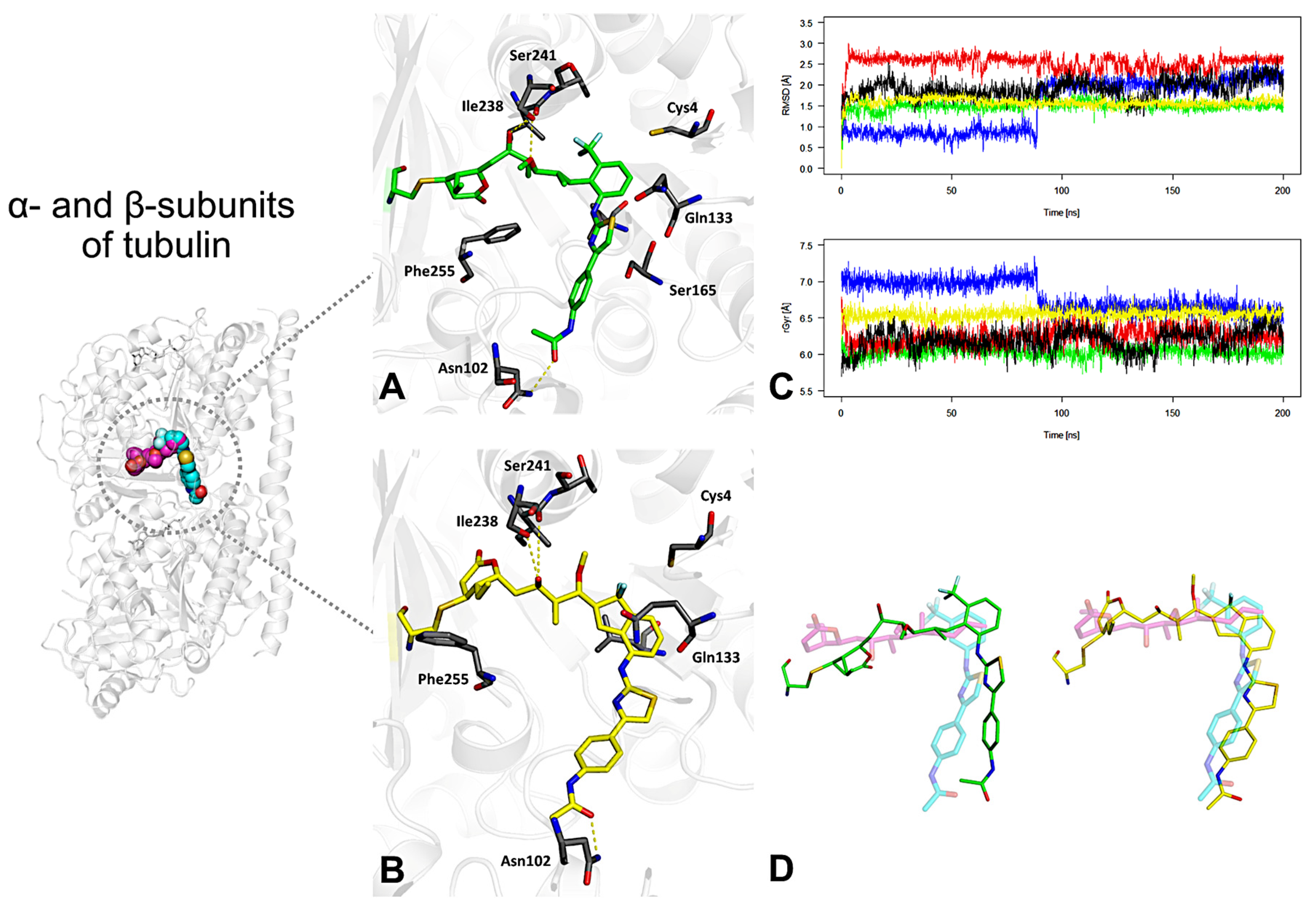 Elucidation of a Novel Dual Binding Site on Tubulin: Theoretical ...