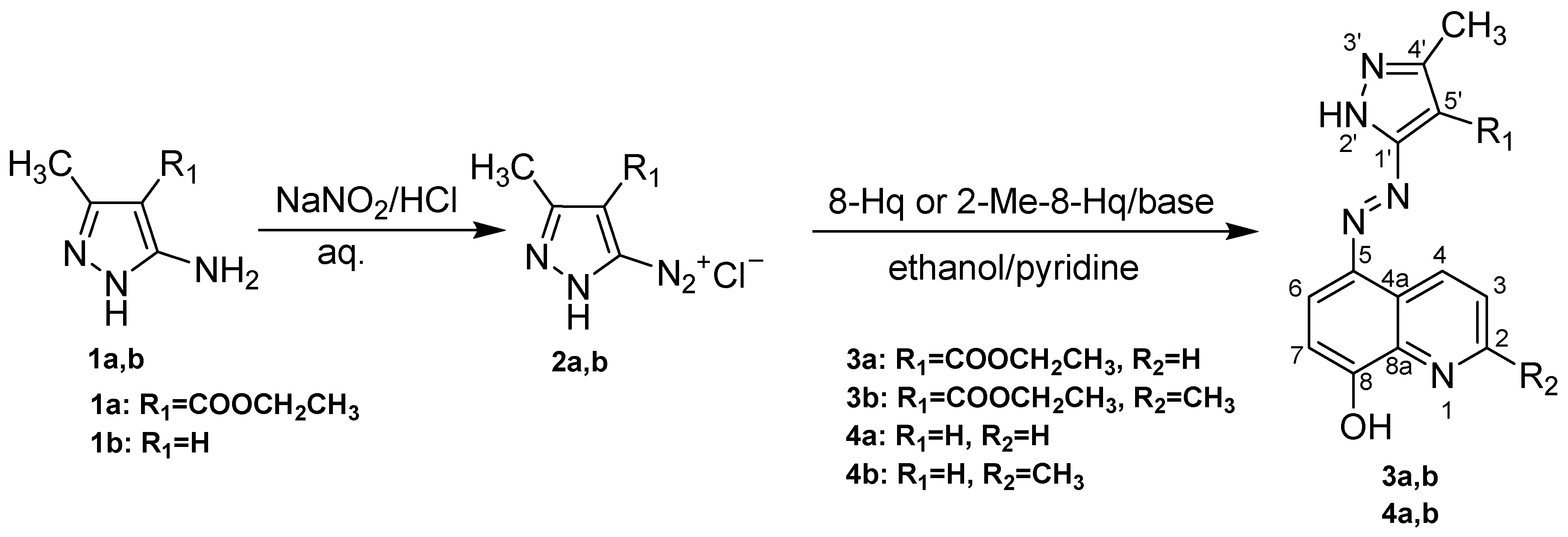 Pharmaceuticals 19 00004 sch001