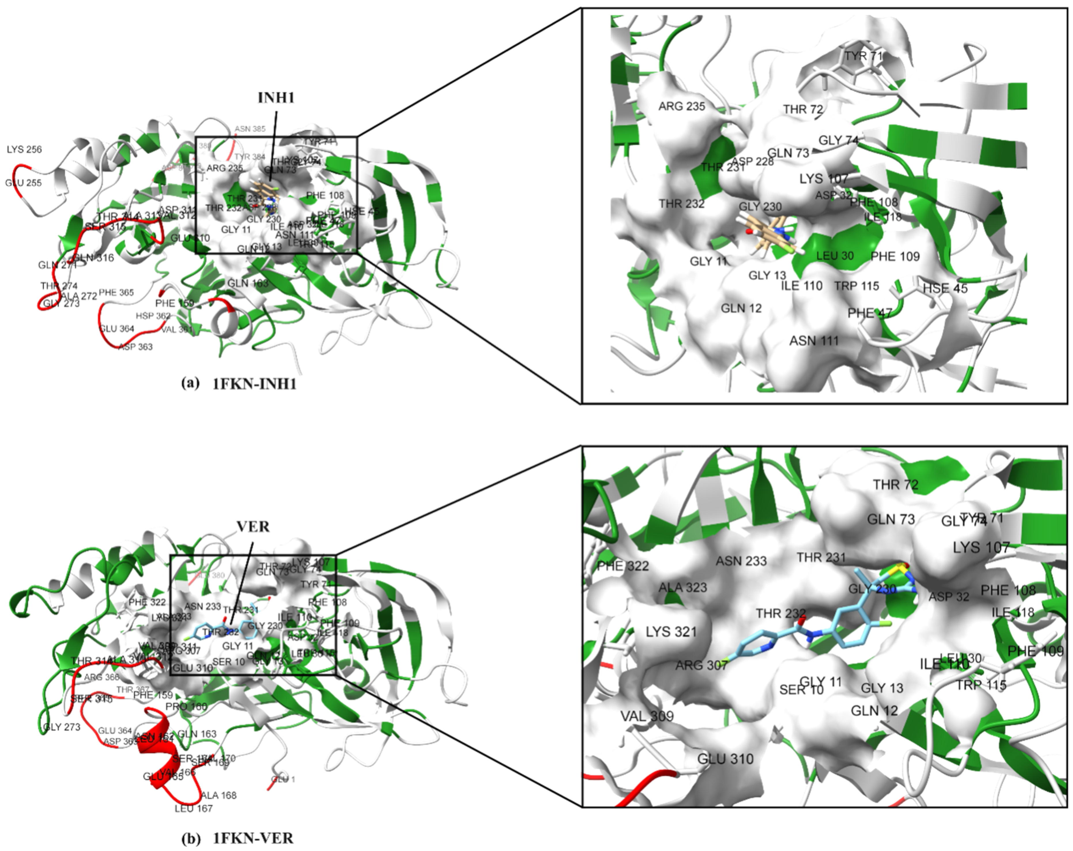 Pharmaceuticals 19 00005 g012