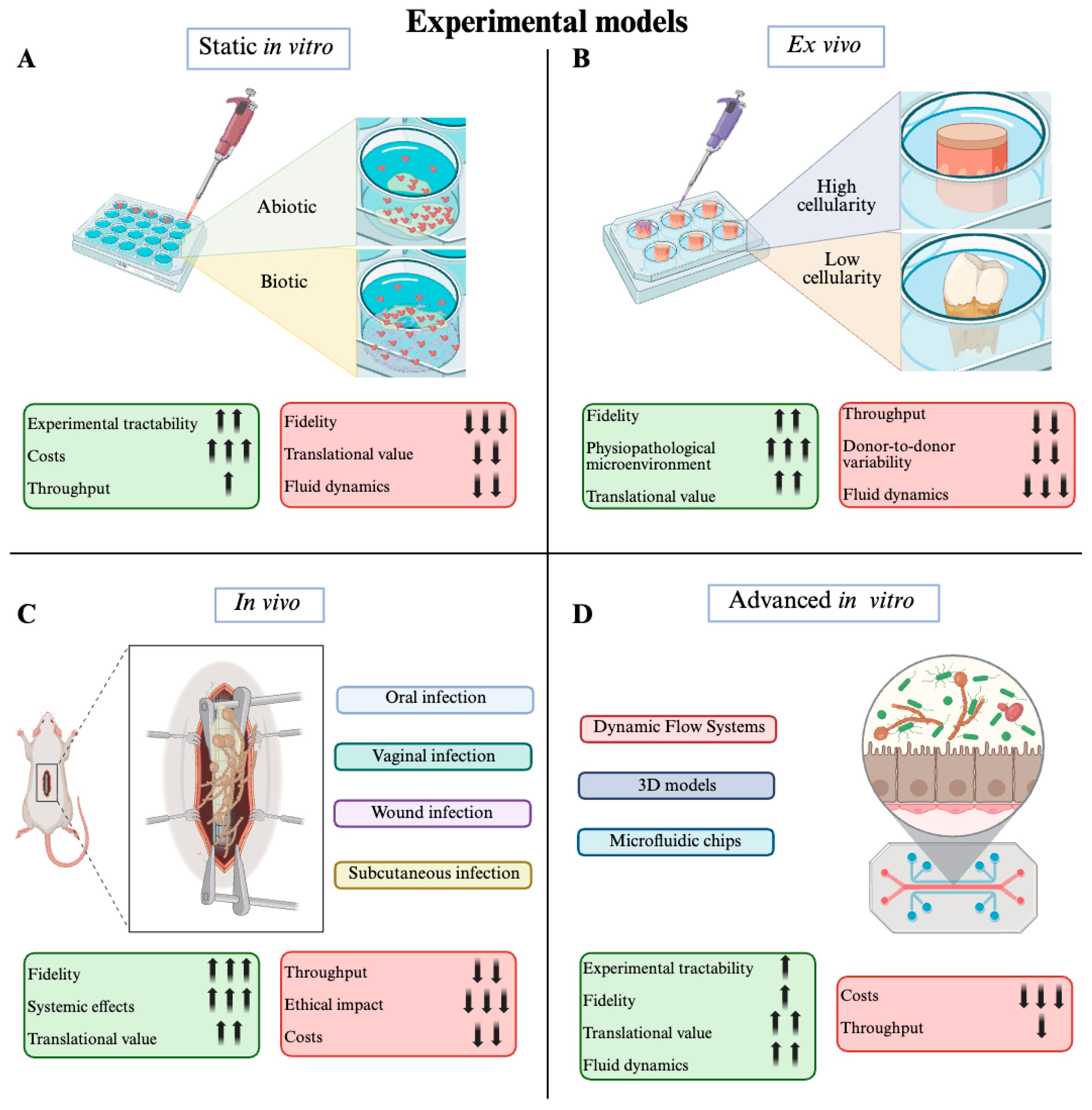 Pharmaceuticals 19 00008 g002