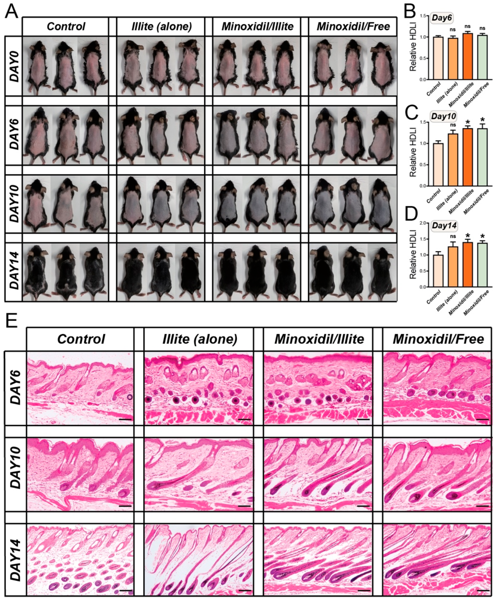 Pharmaceuticals 19 00011 g003