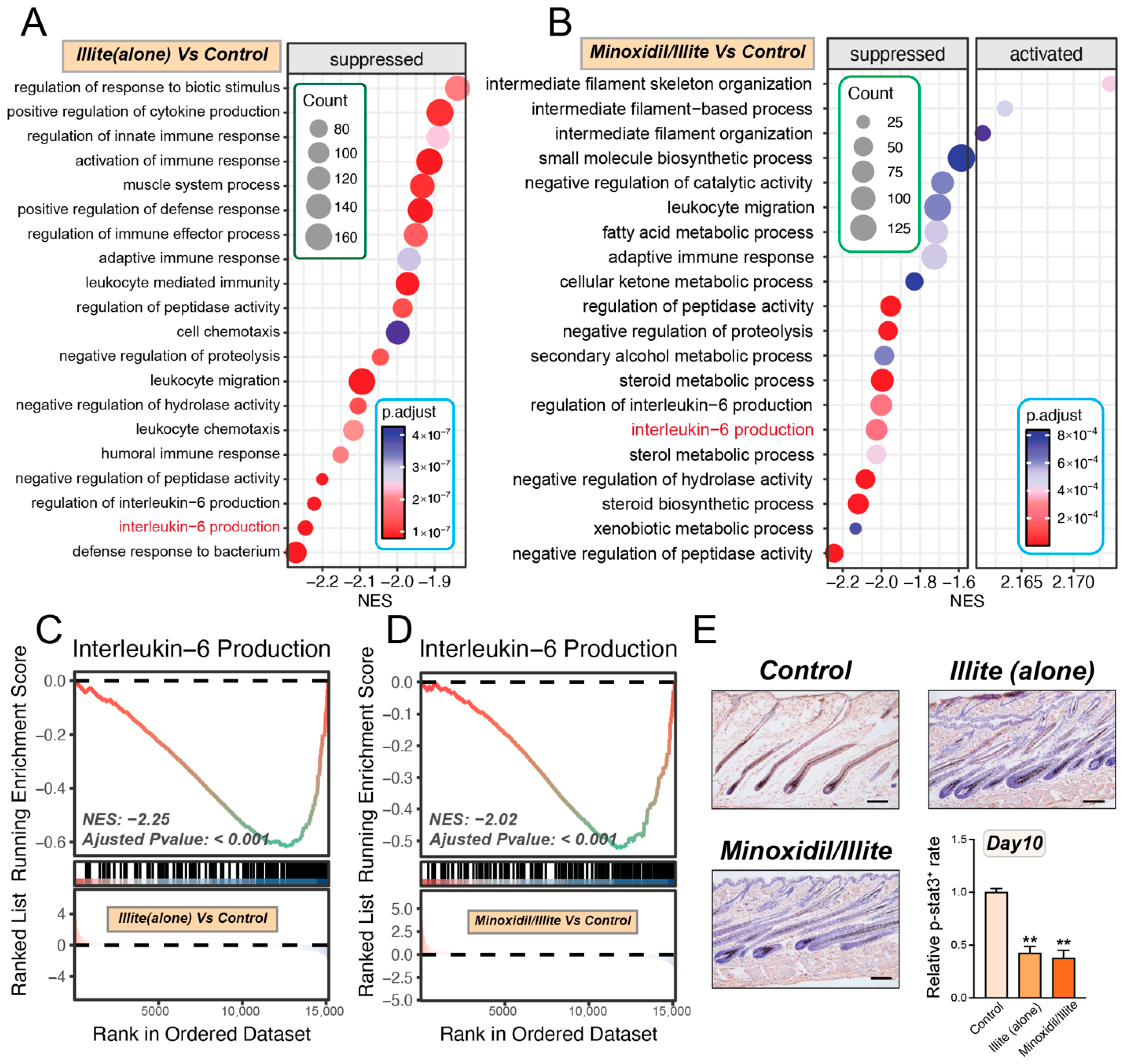 Pharmaceuticals 19 00011 g006