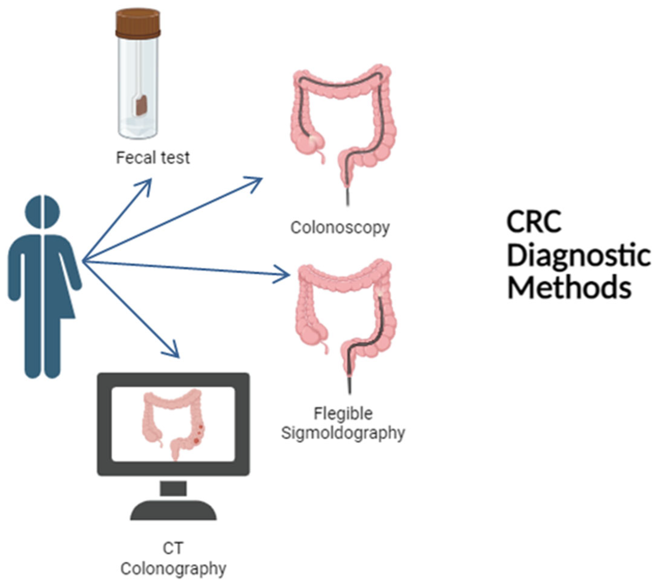 Pharmaceuticals 19 00013 g001