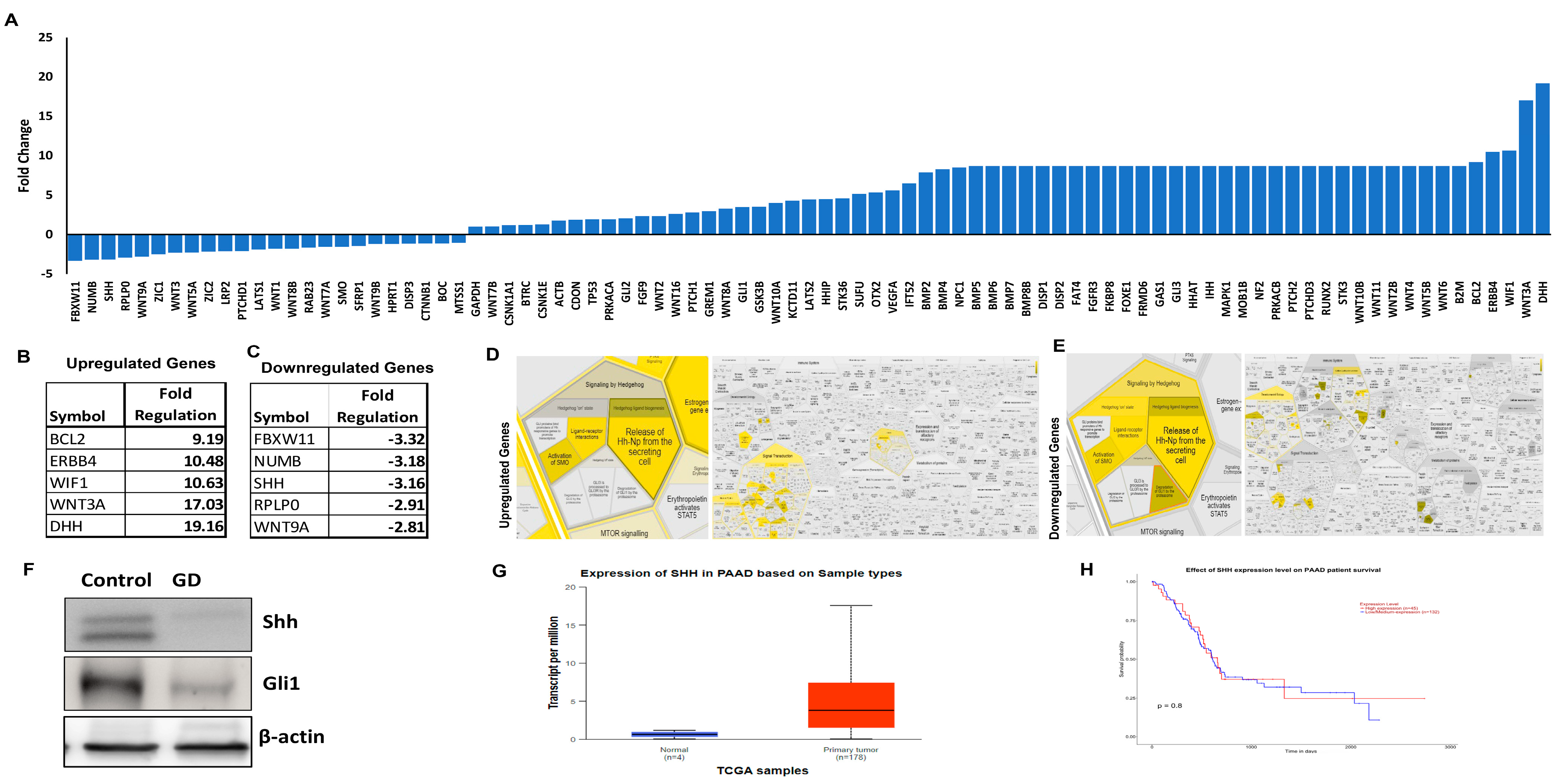 Gedunin Extraction Gedunin Impacts Pancreatic Cancer Stem Cells Through the Sonic Hedgehog ...