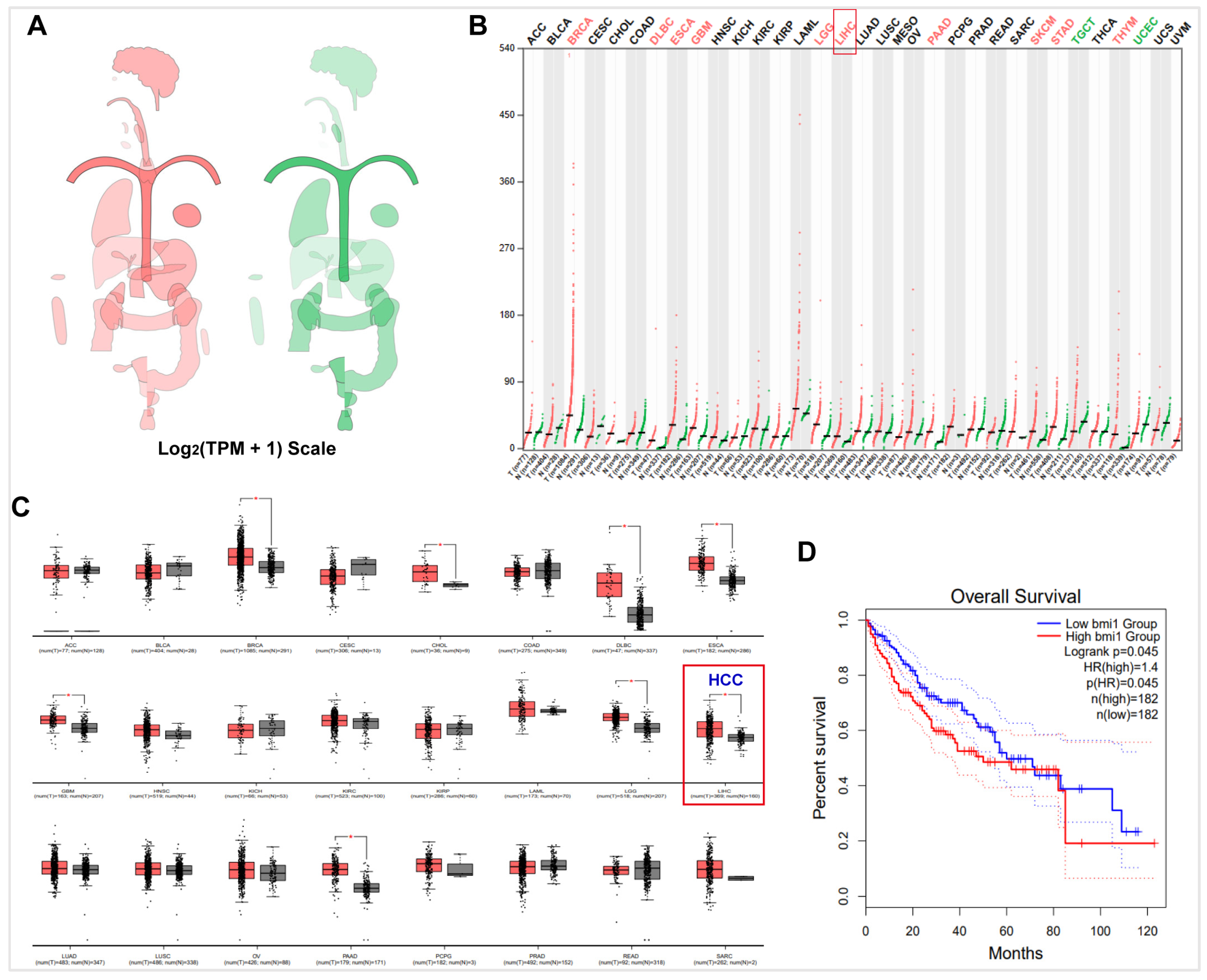 Pharmaceuticals 19 00022 g002