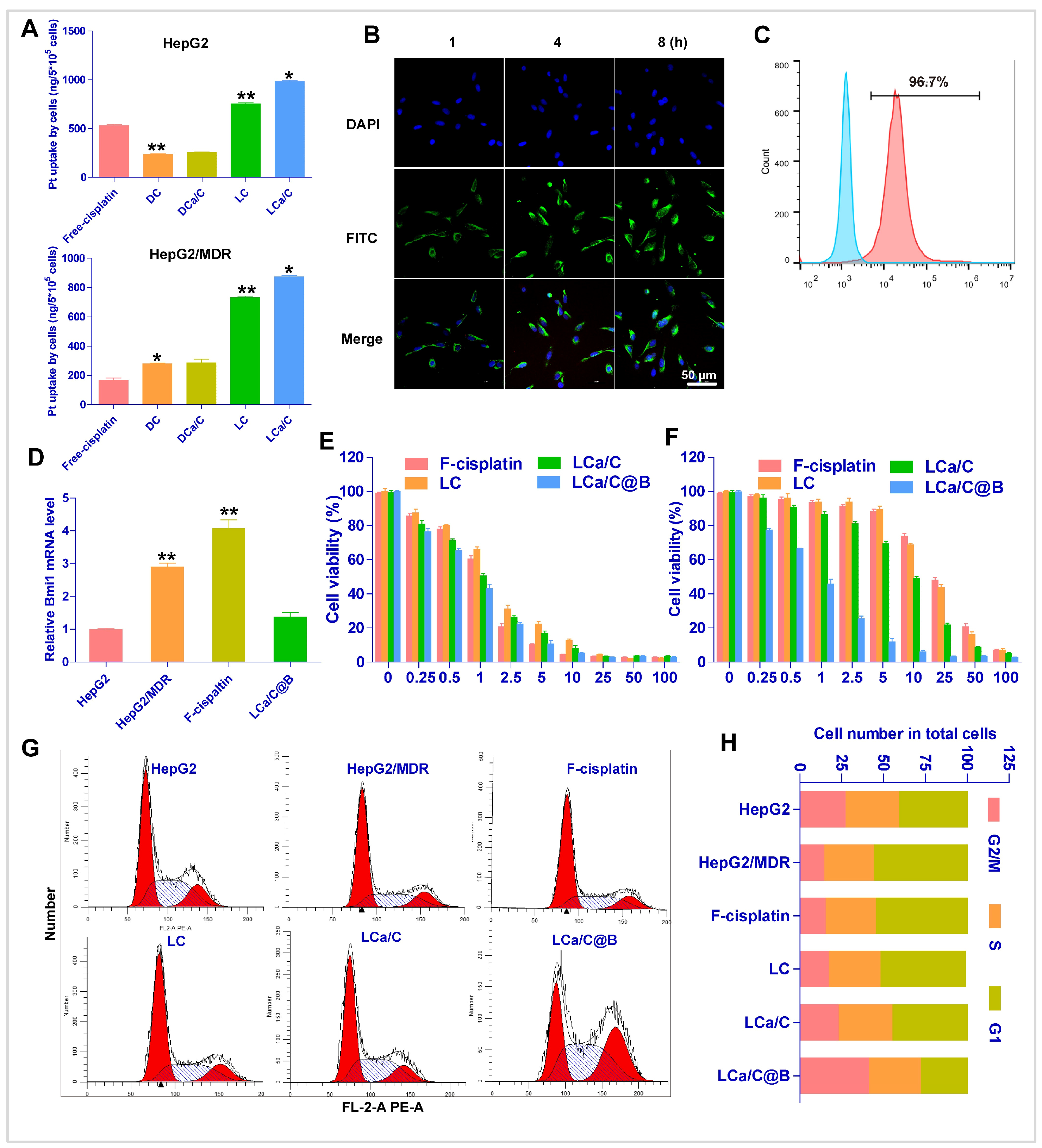 Pharmaceuticals 19 00022 g003