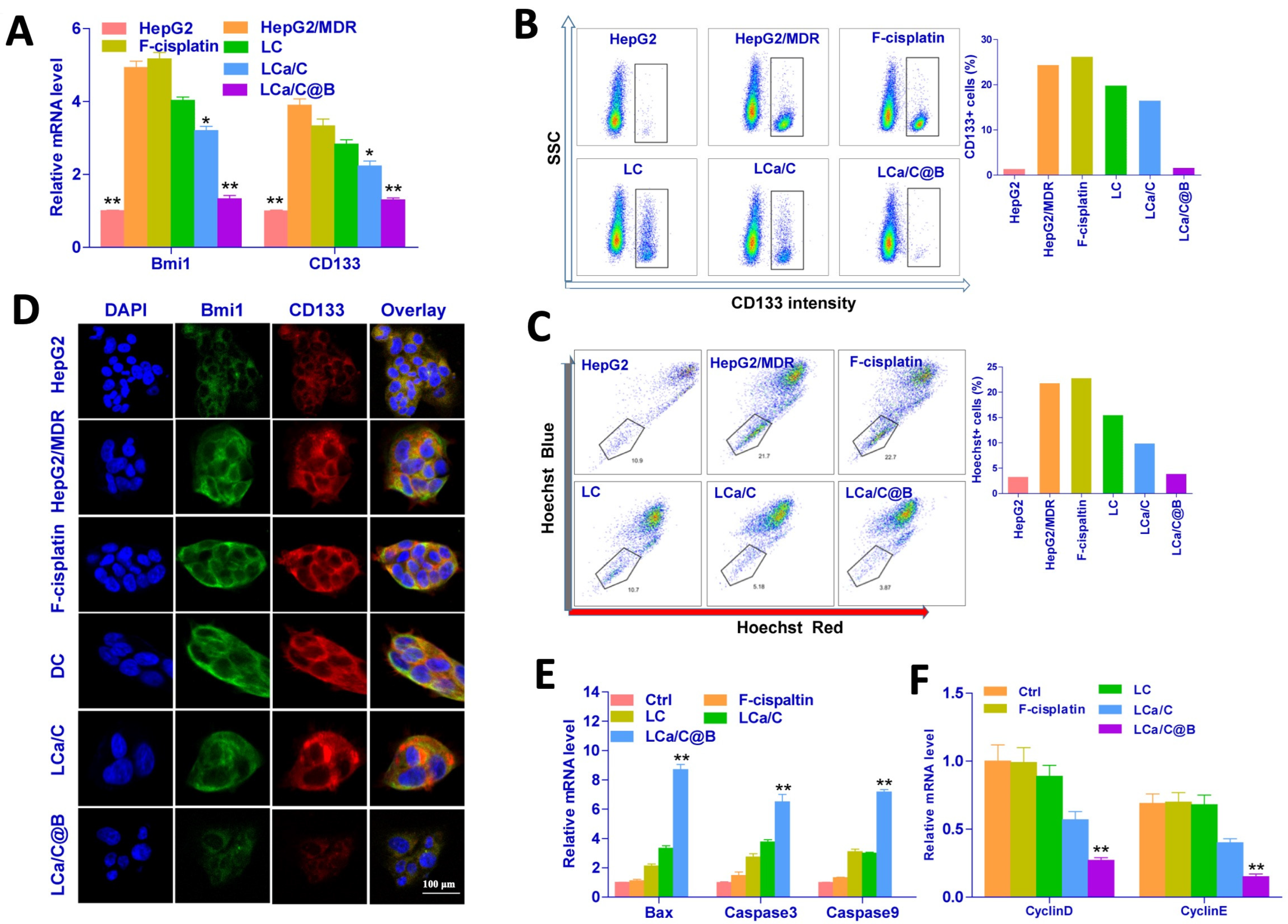 Pharmaceuticals 19 00022 g004