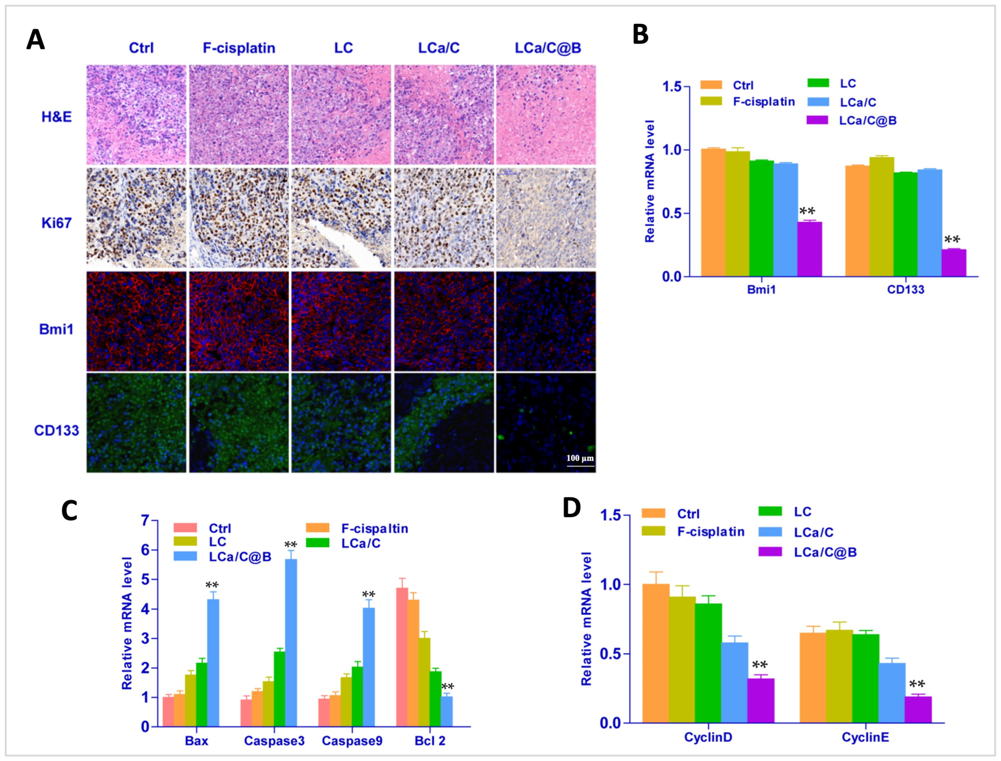 Pharmaceuticals 19 00022 g007