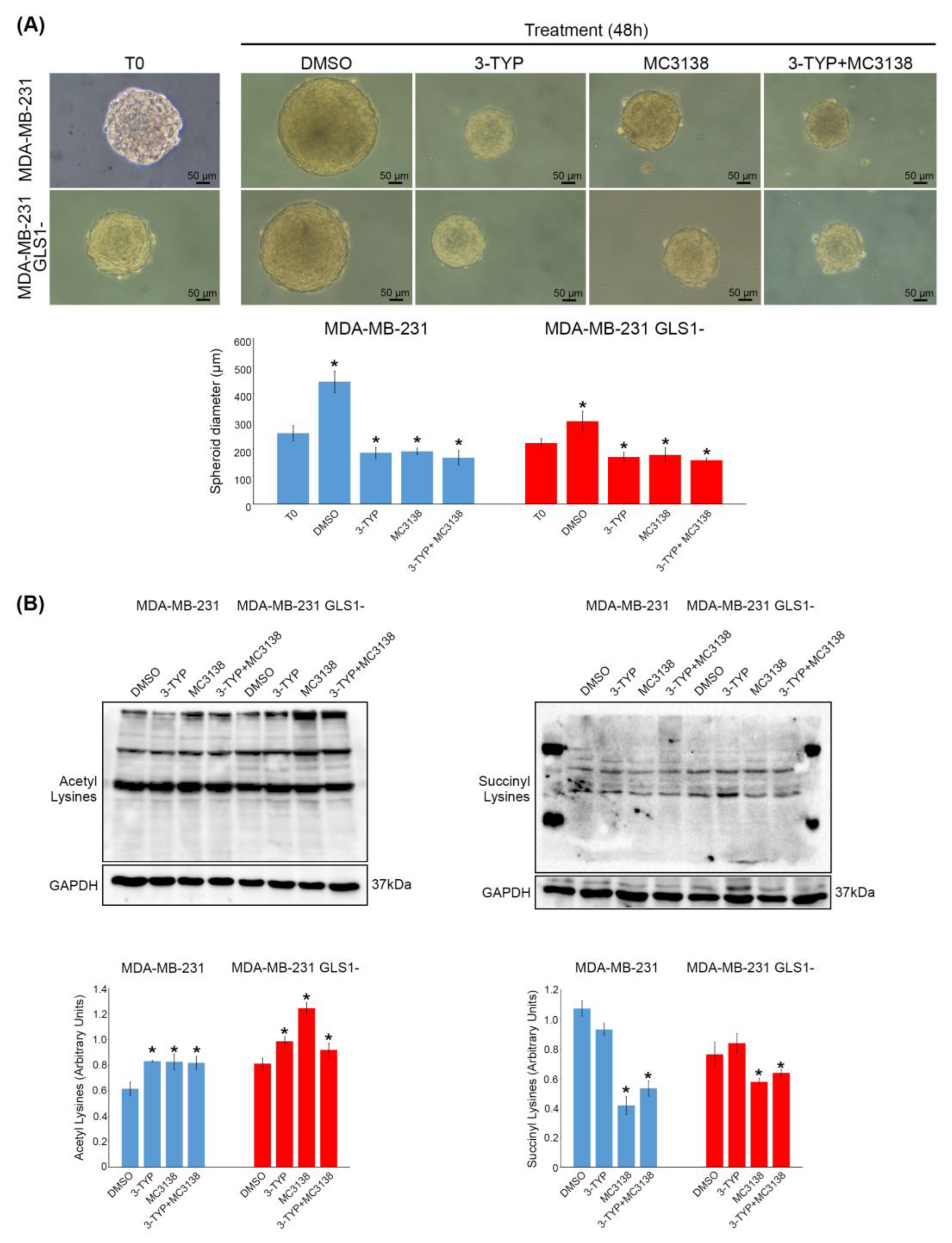 Pharmaceuticals 19 00023 g001