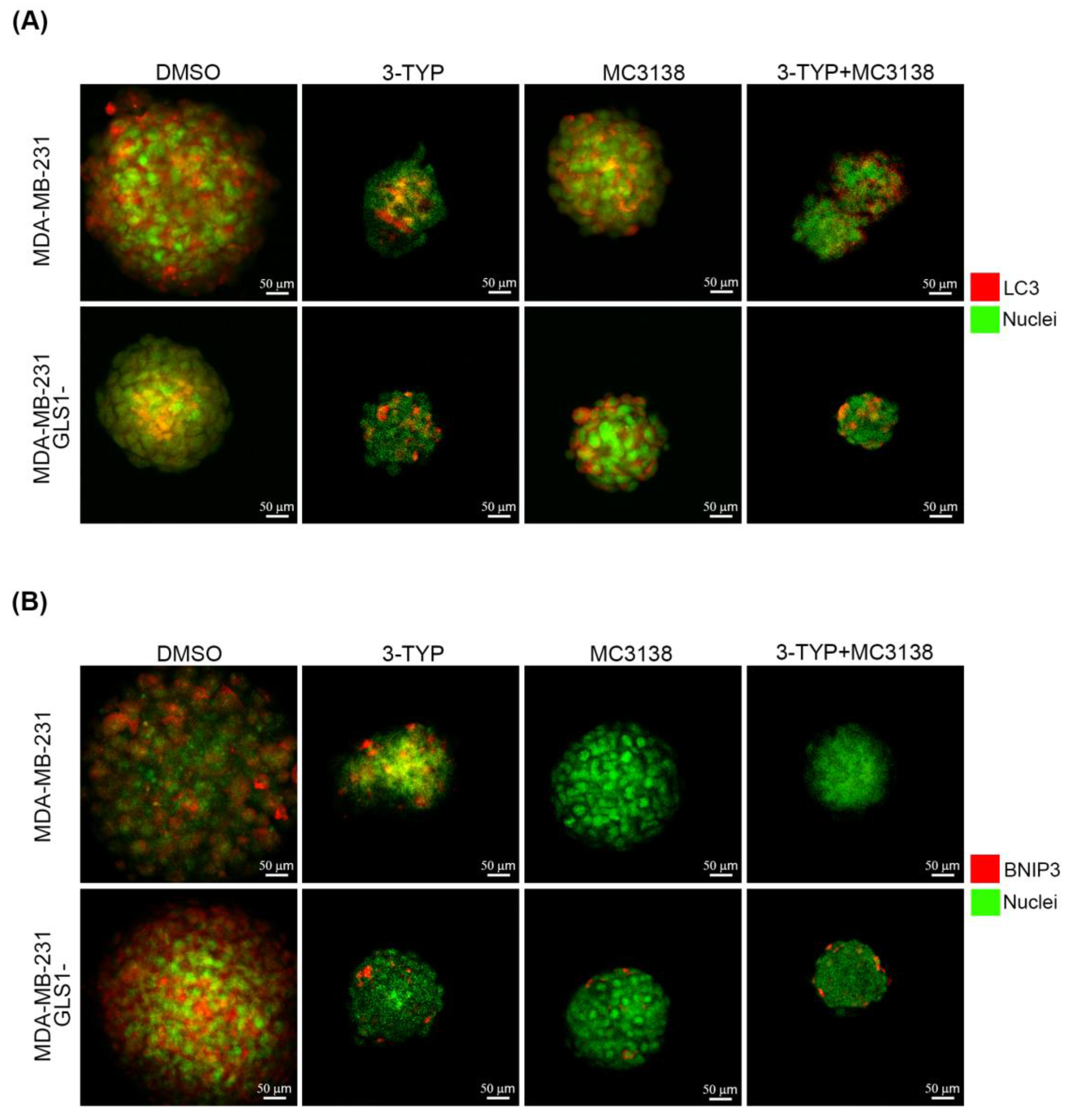 Pharmaceuticals 19 00023 g002