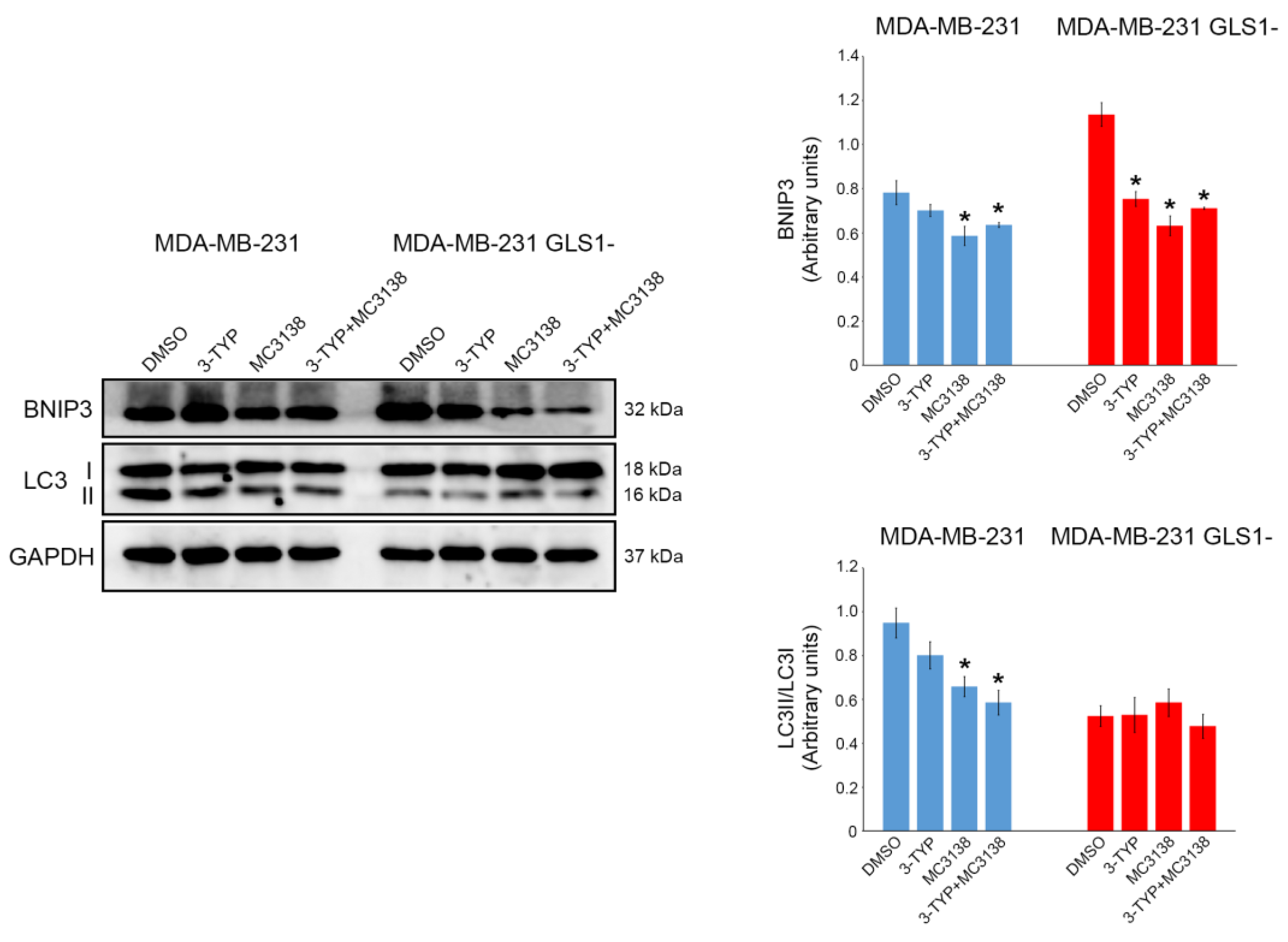 Pharmaceuticals 19 00023 g003