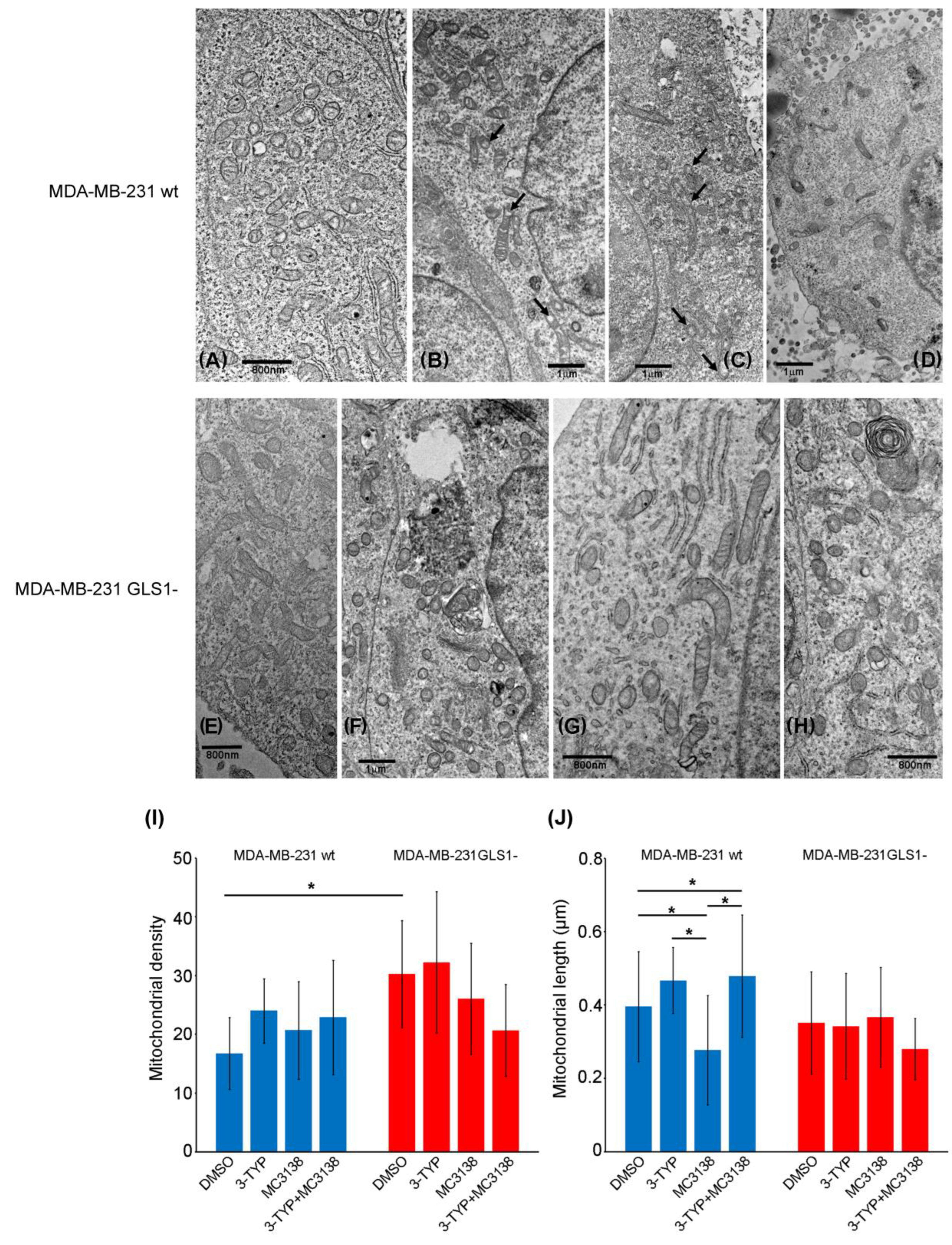 Pharmaceuticals 19 00023 g004