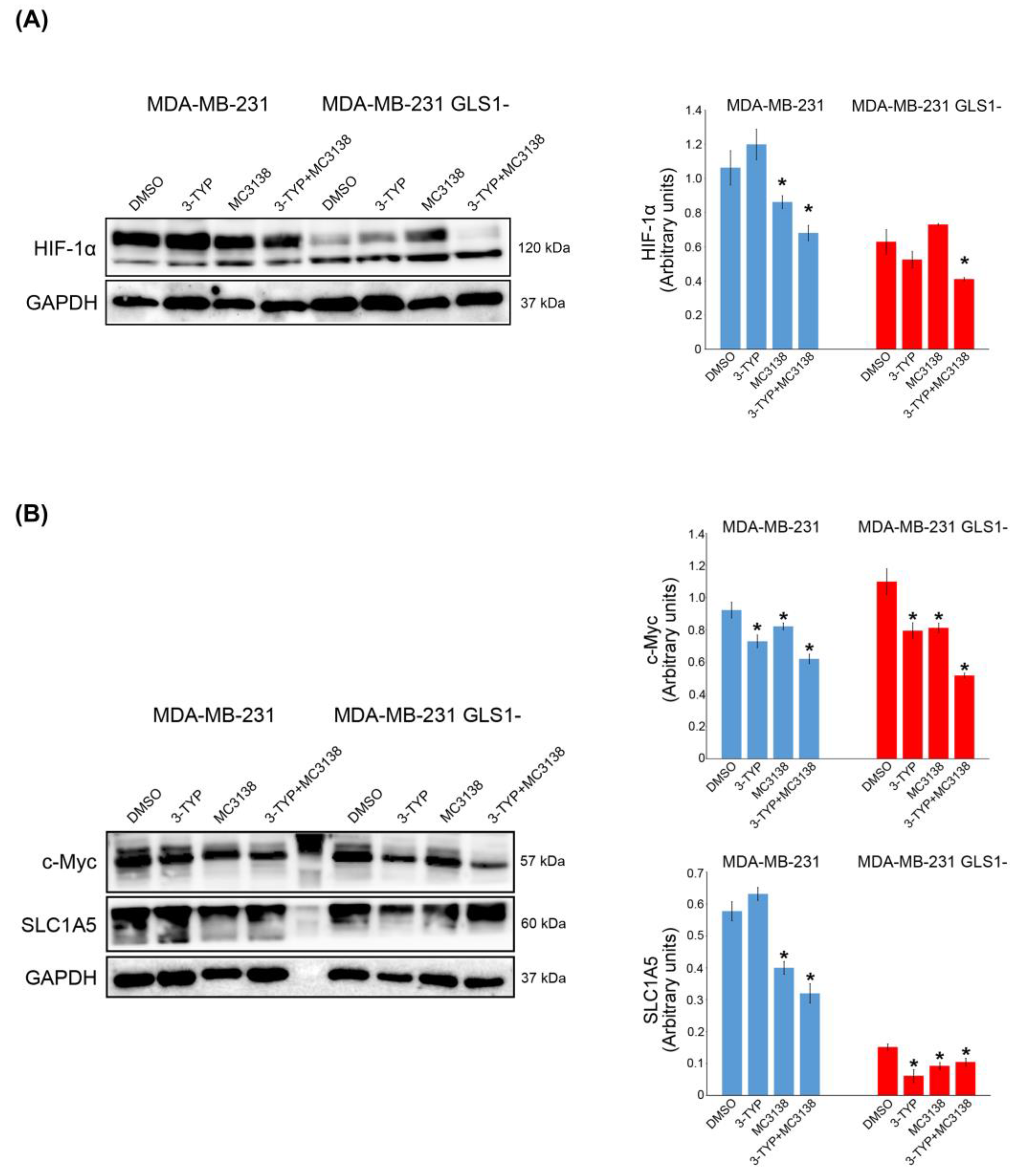 Pharmaceuticals 19 00023 g005