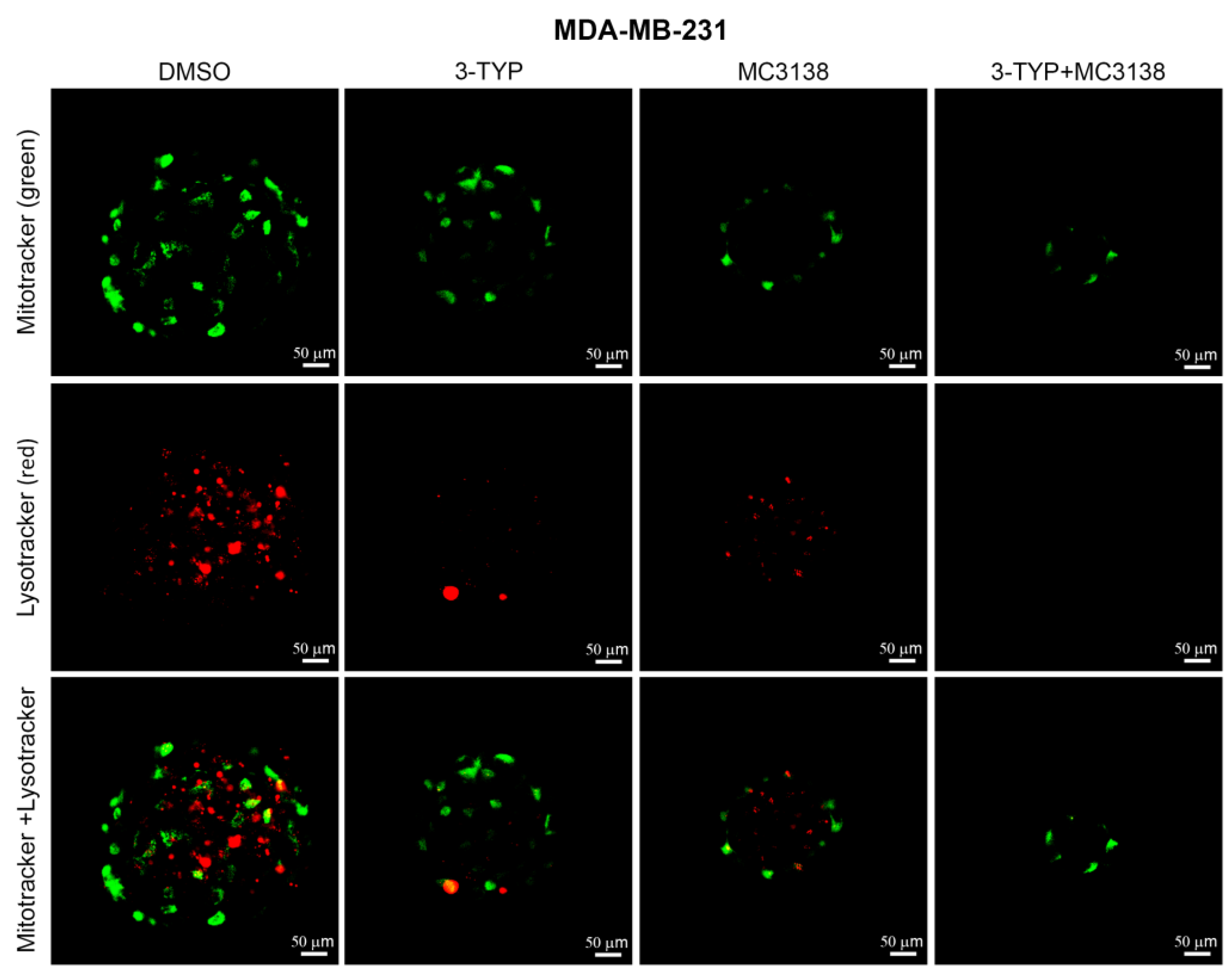 Pharmaceuticals 19 00023 g006