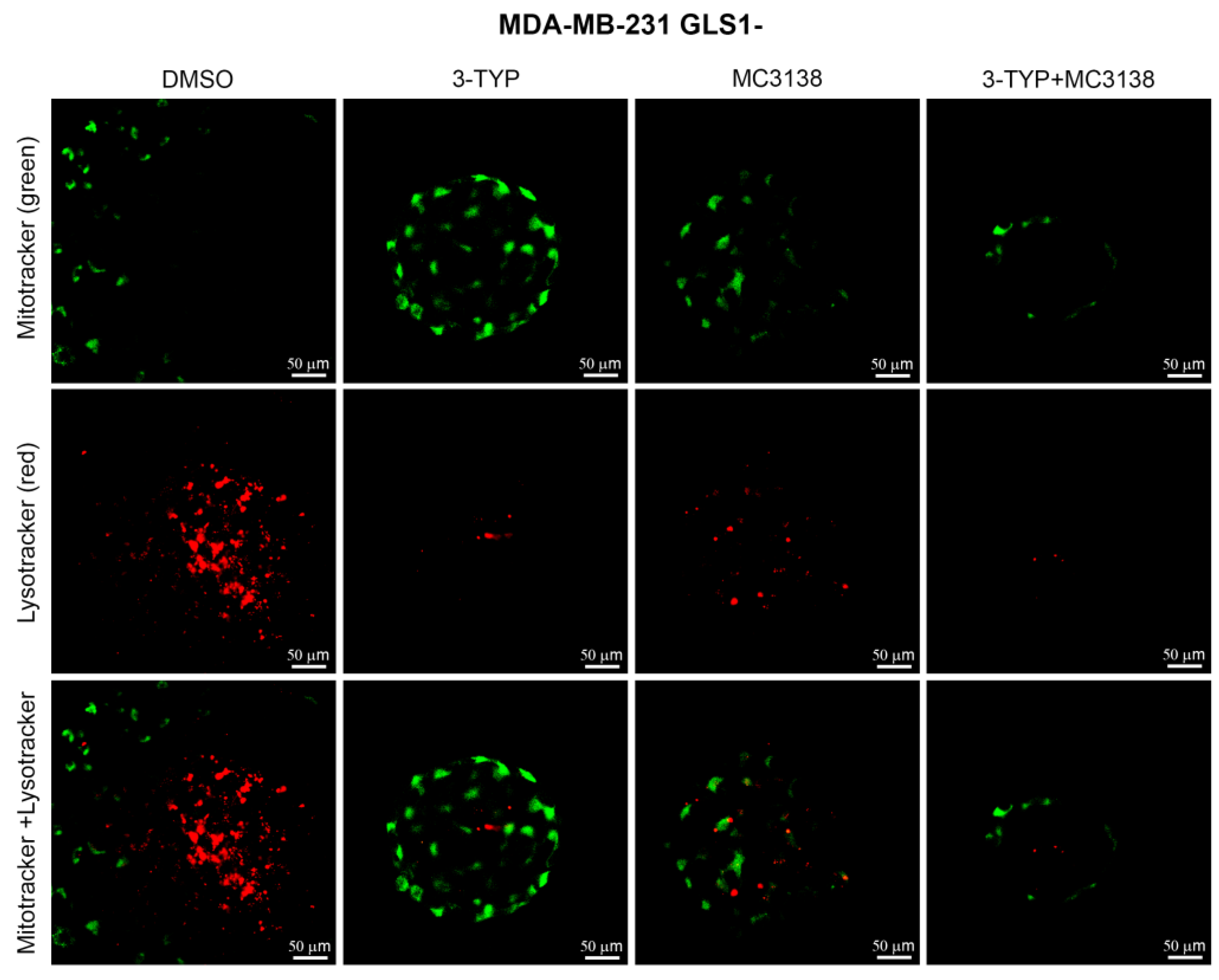 Pharmaceuticals 19 00023 g007