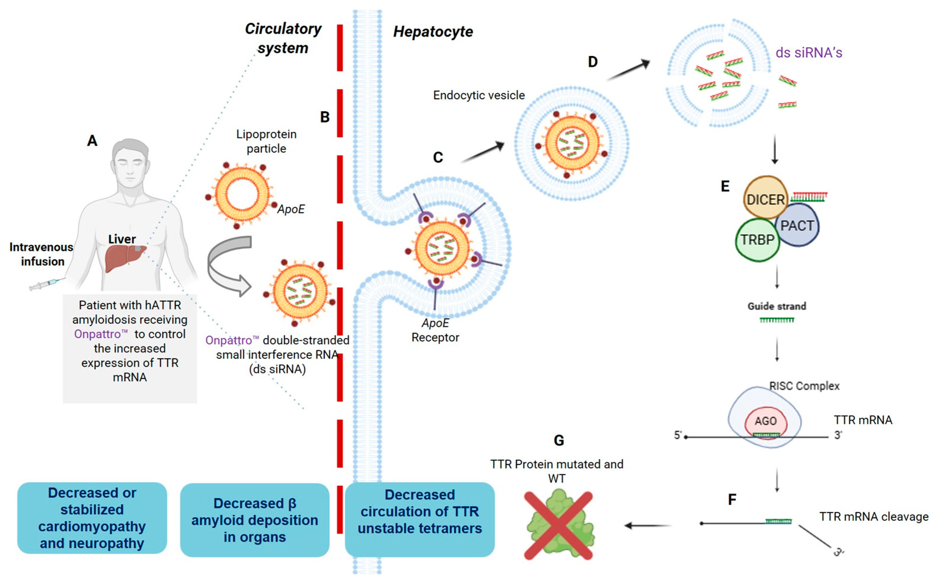 Pharmaceuticals 19 00026 g003