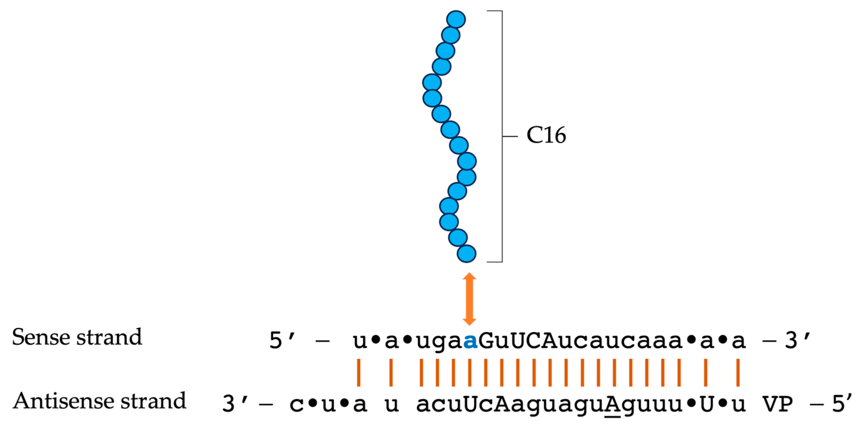 Pharmaceuticals 19 00026 g007