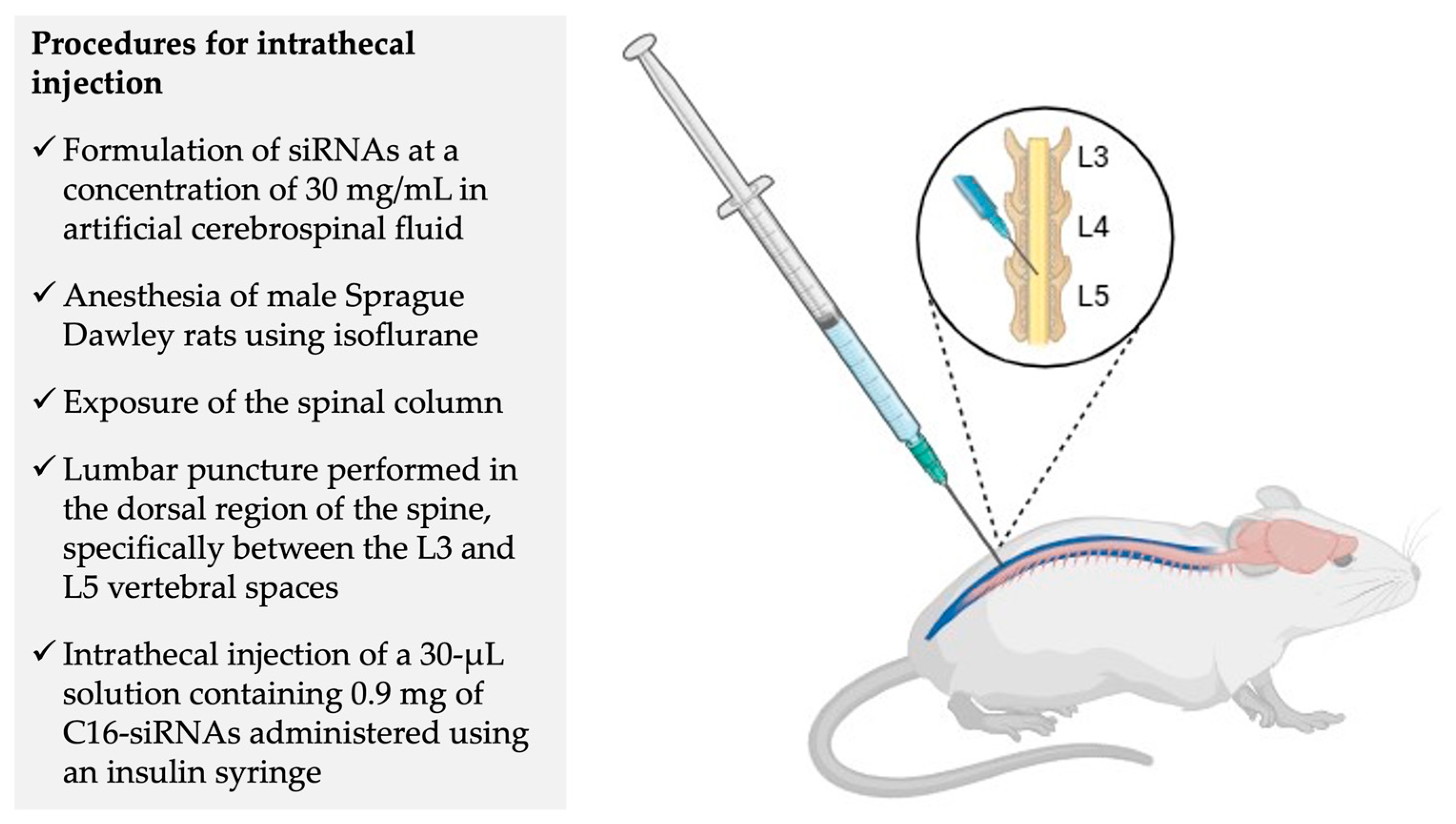 Pharmaceuticals 19 00026 g009