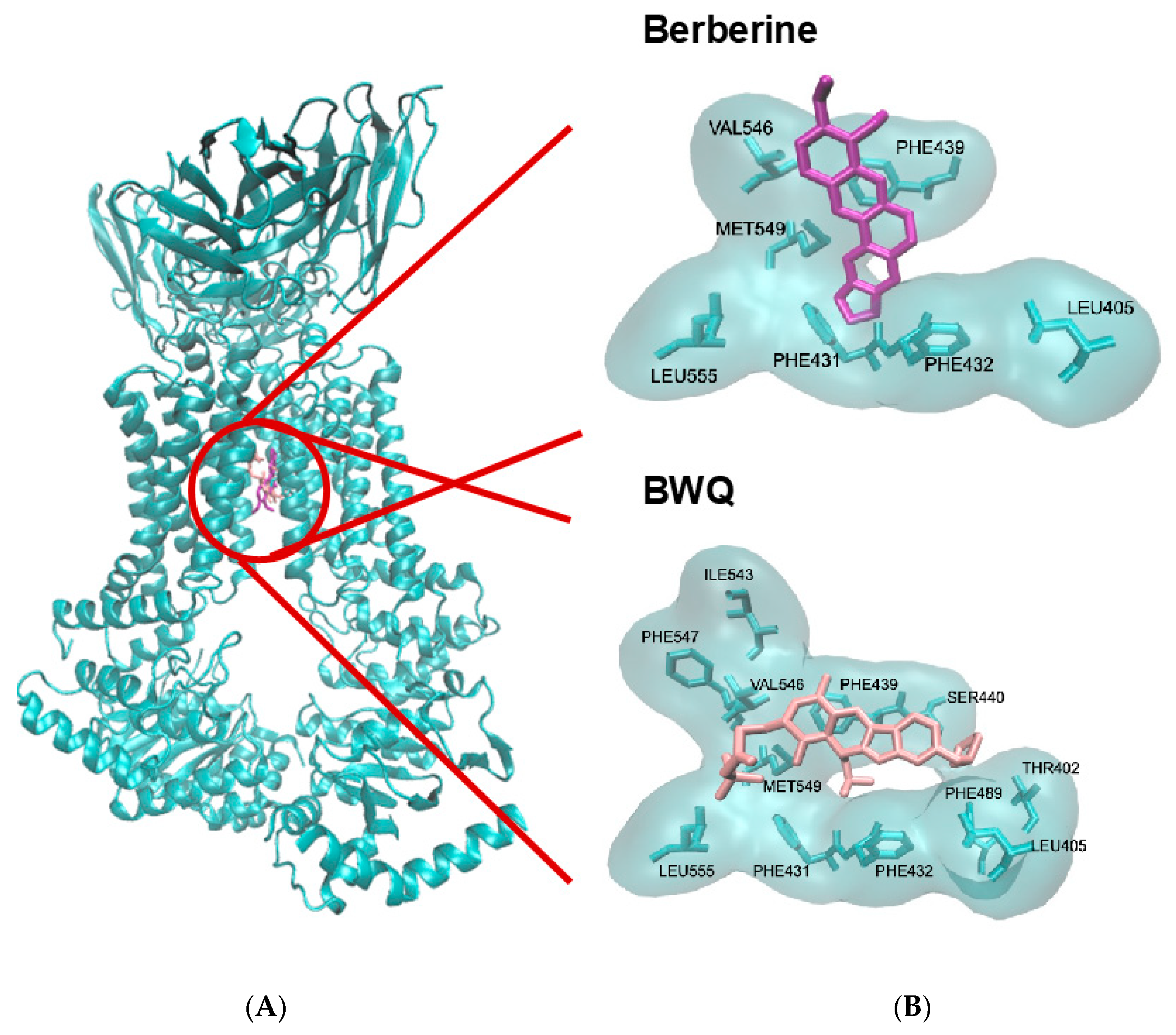 Pharmaceuticals 19 00027 g002