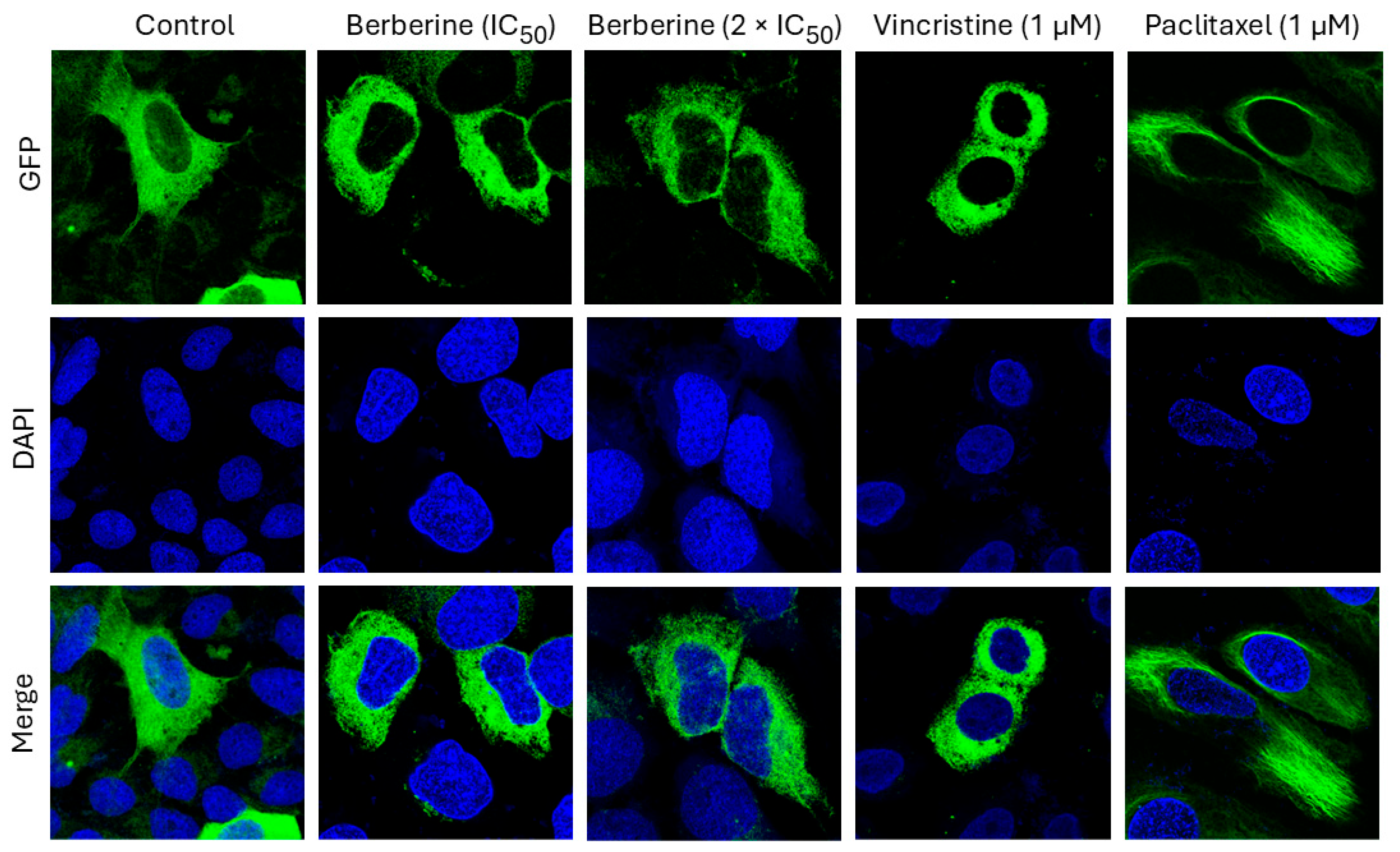 Pharmaceuticals 19 00027 g003