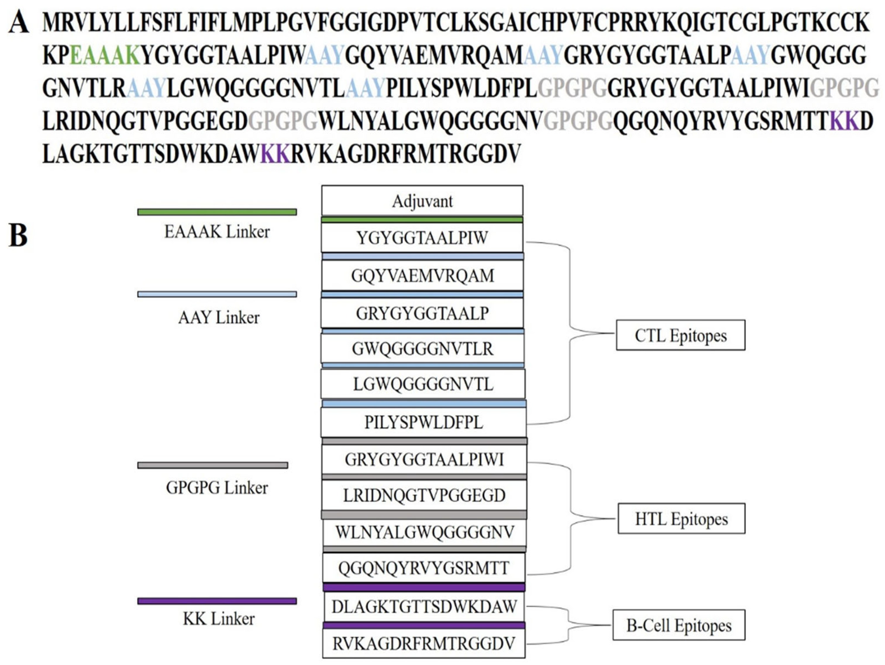Pharmaceuticals 19 00029 g003